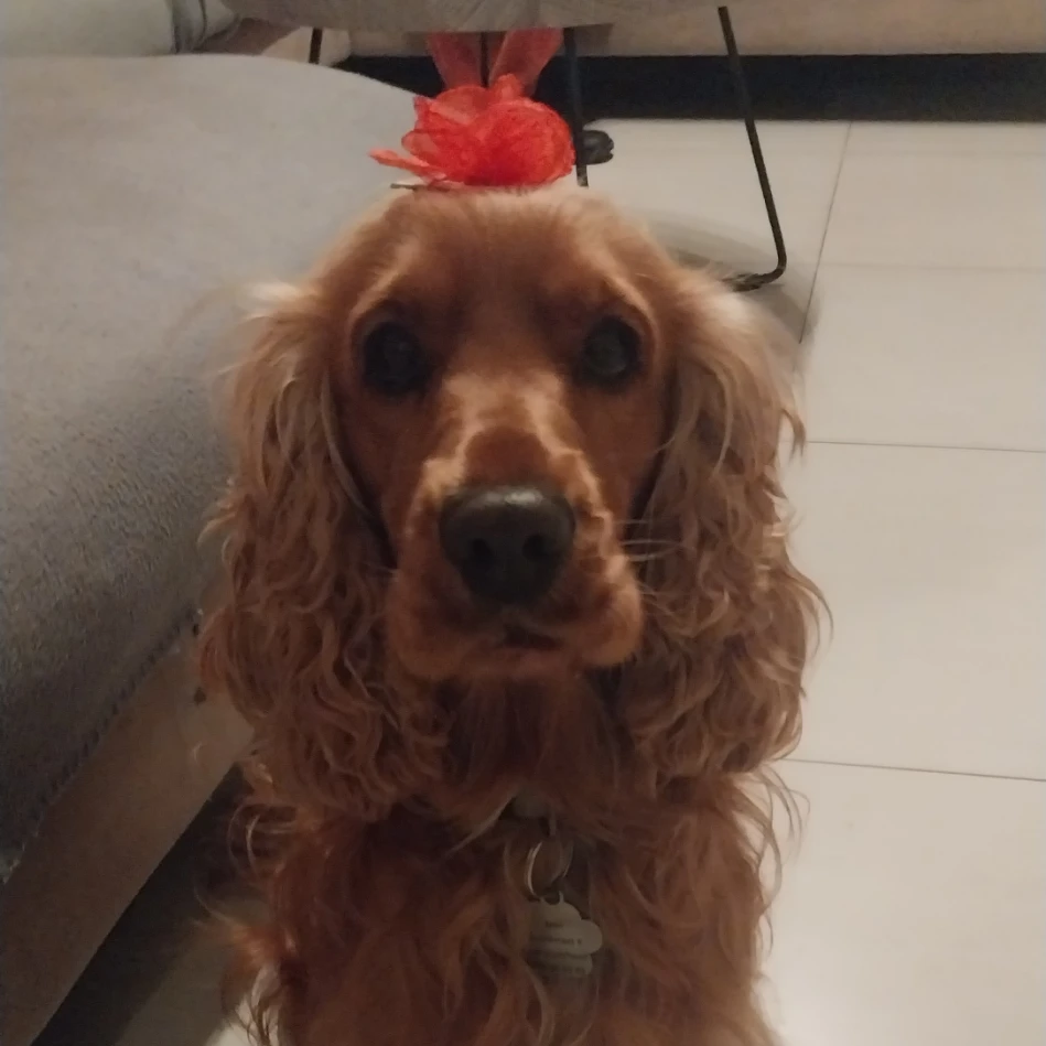 milo