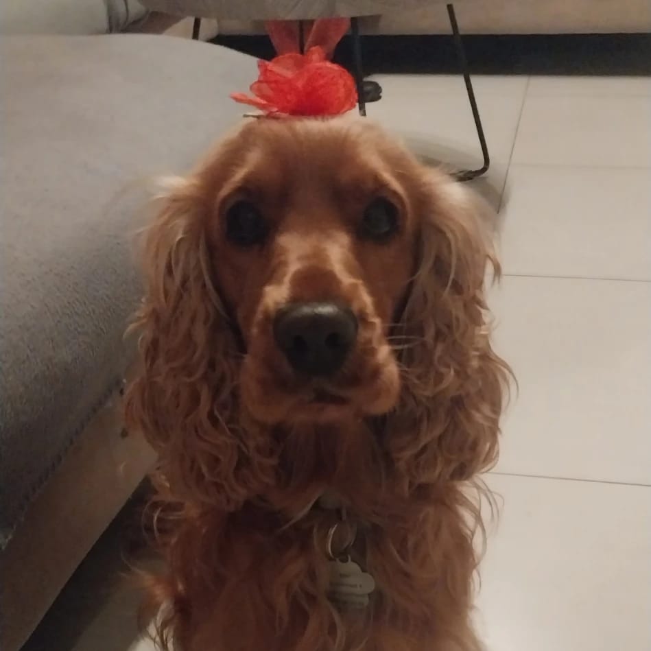 milo