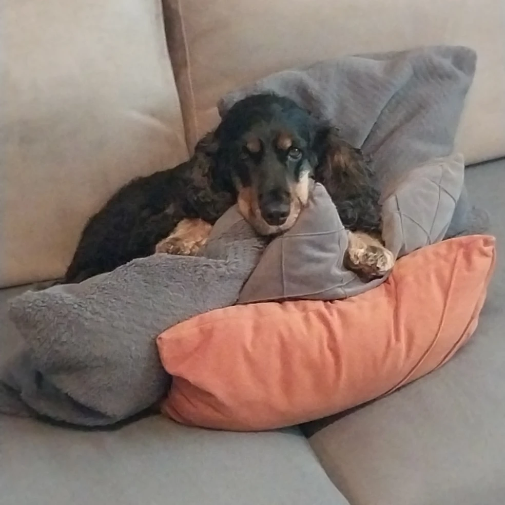 zina