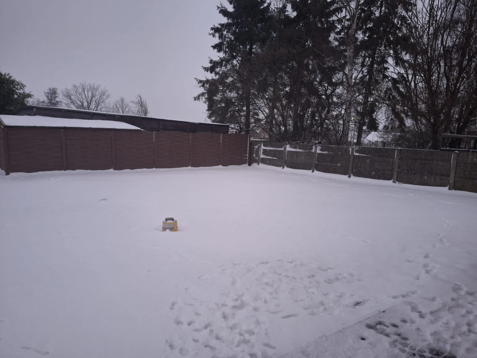 image-20