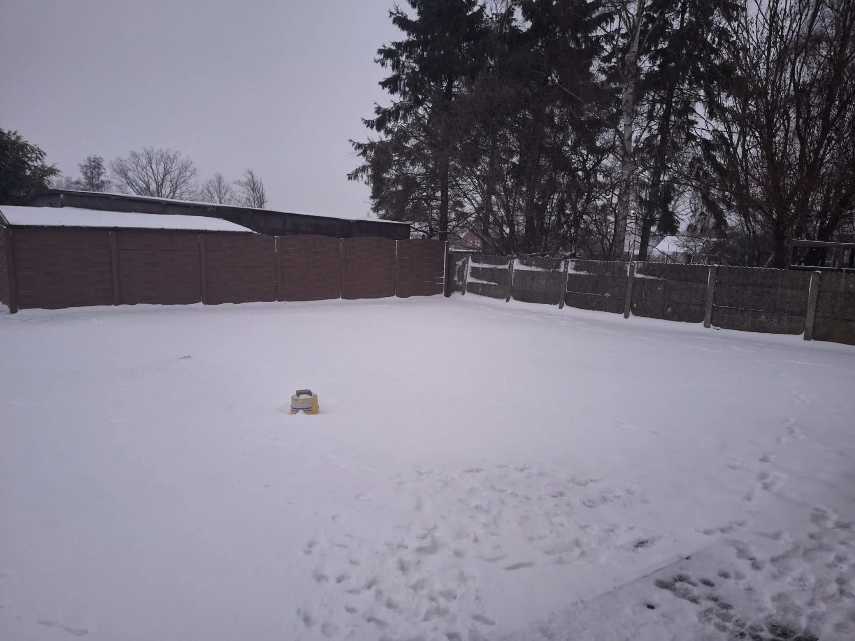 image-20