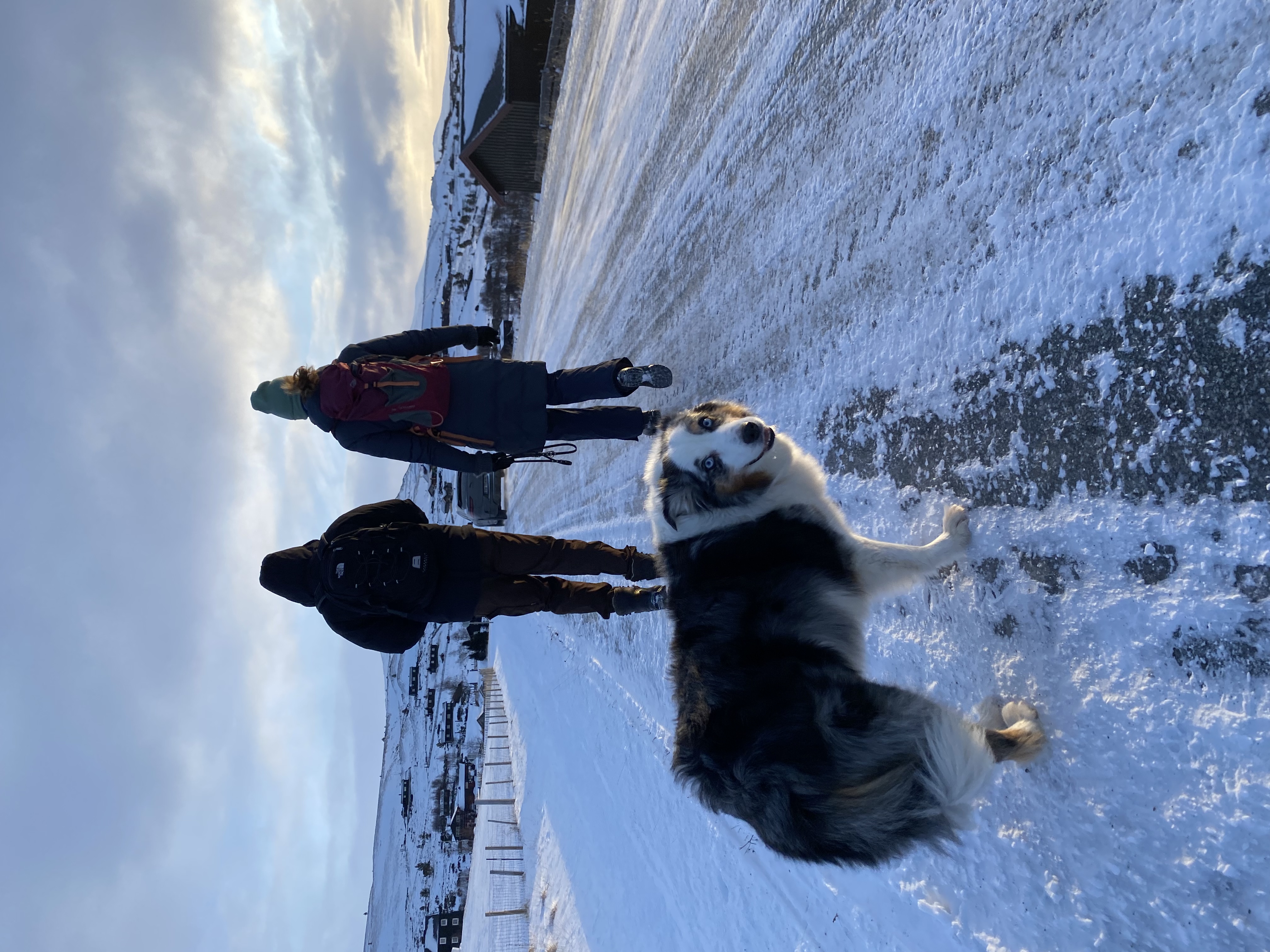 image-9