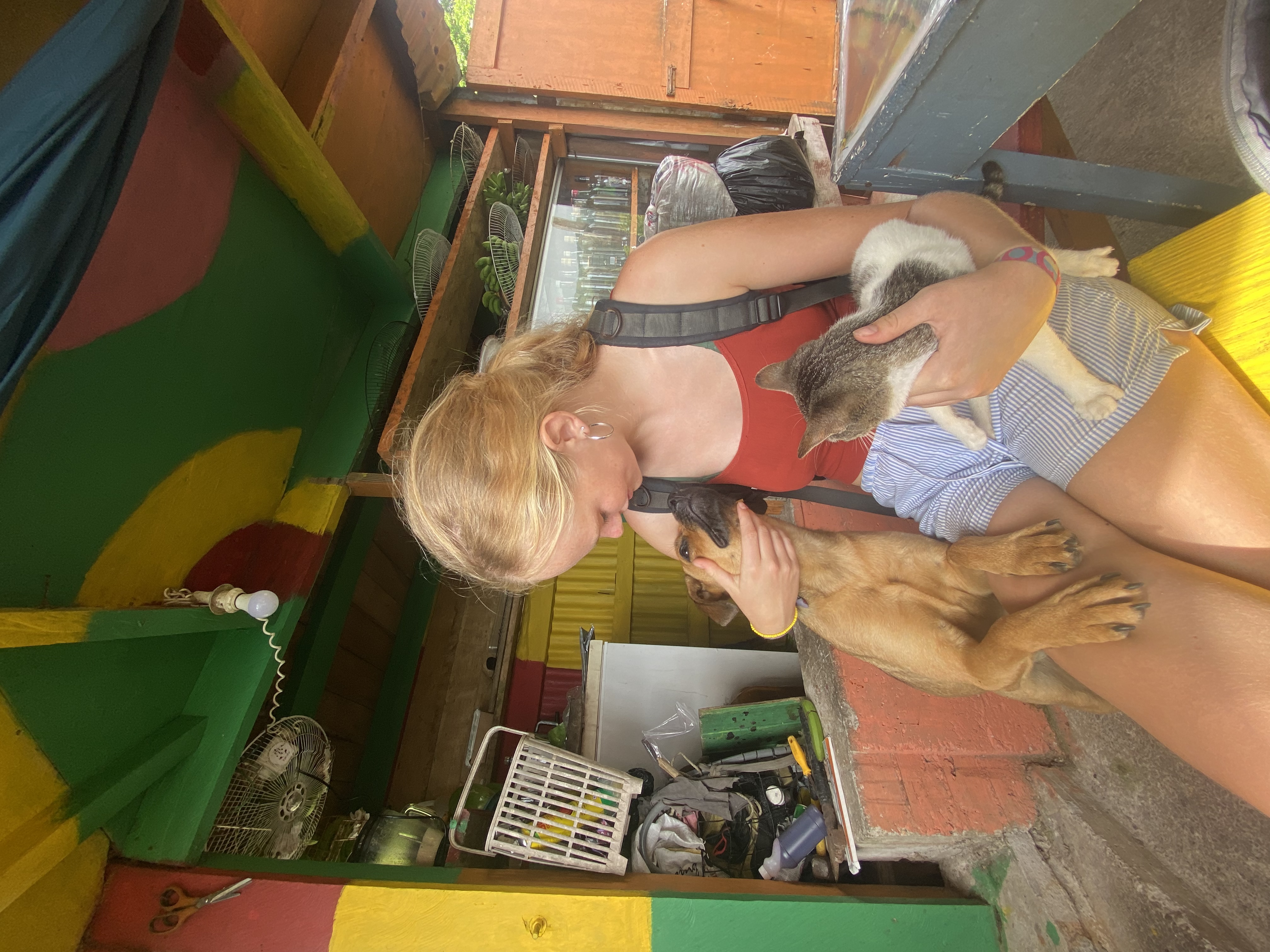 image-6