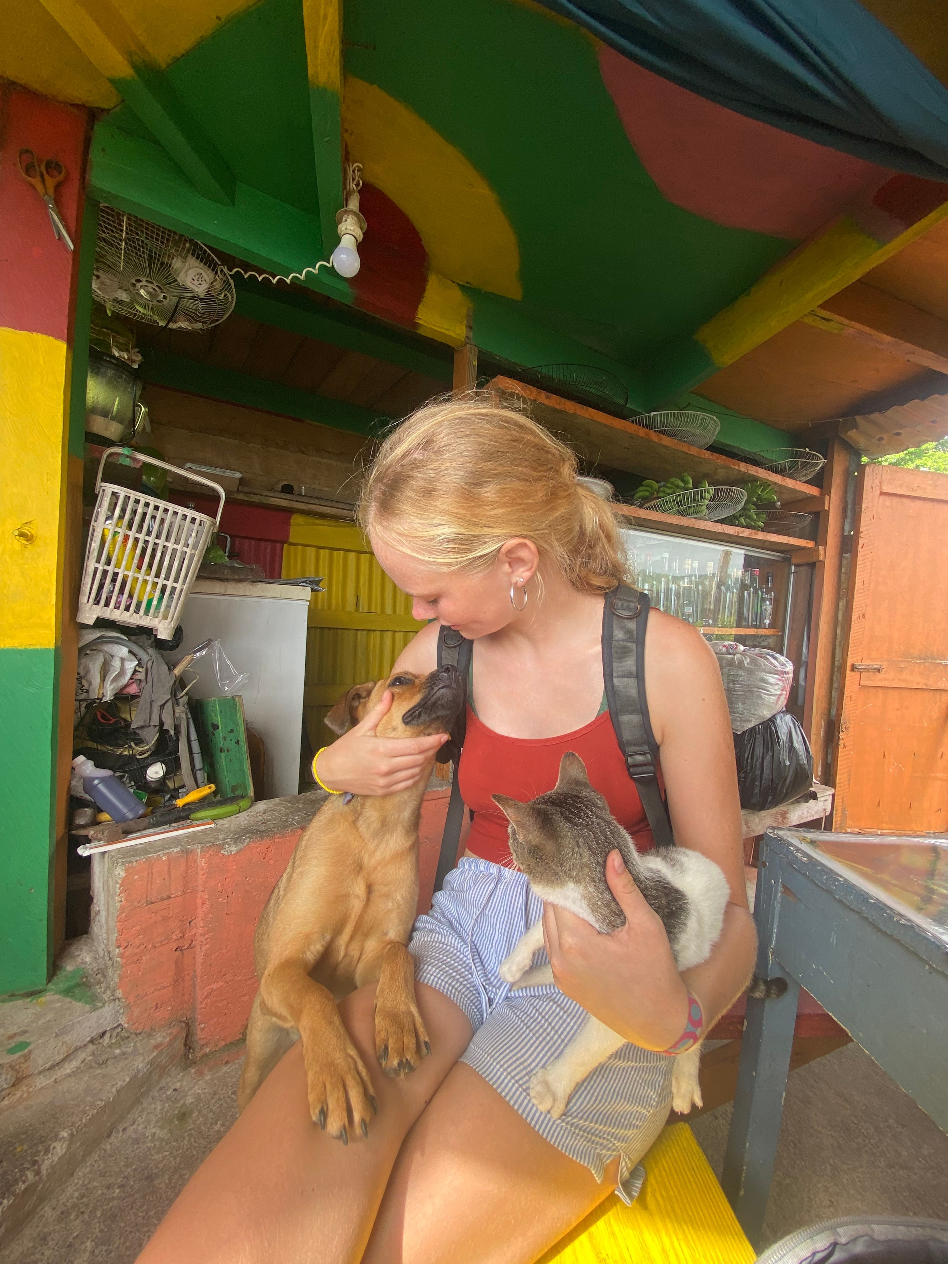 image-6