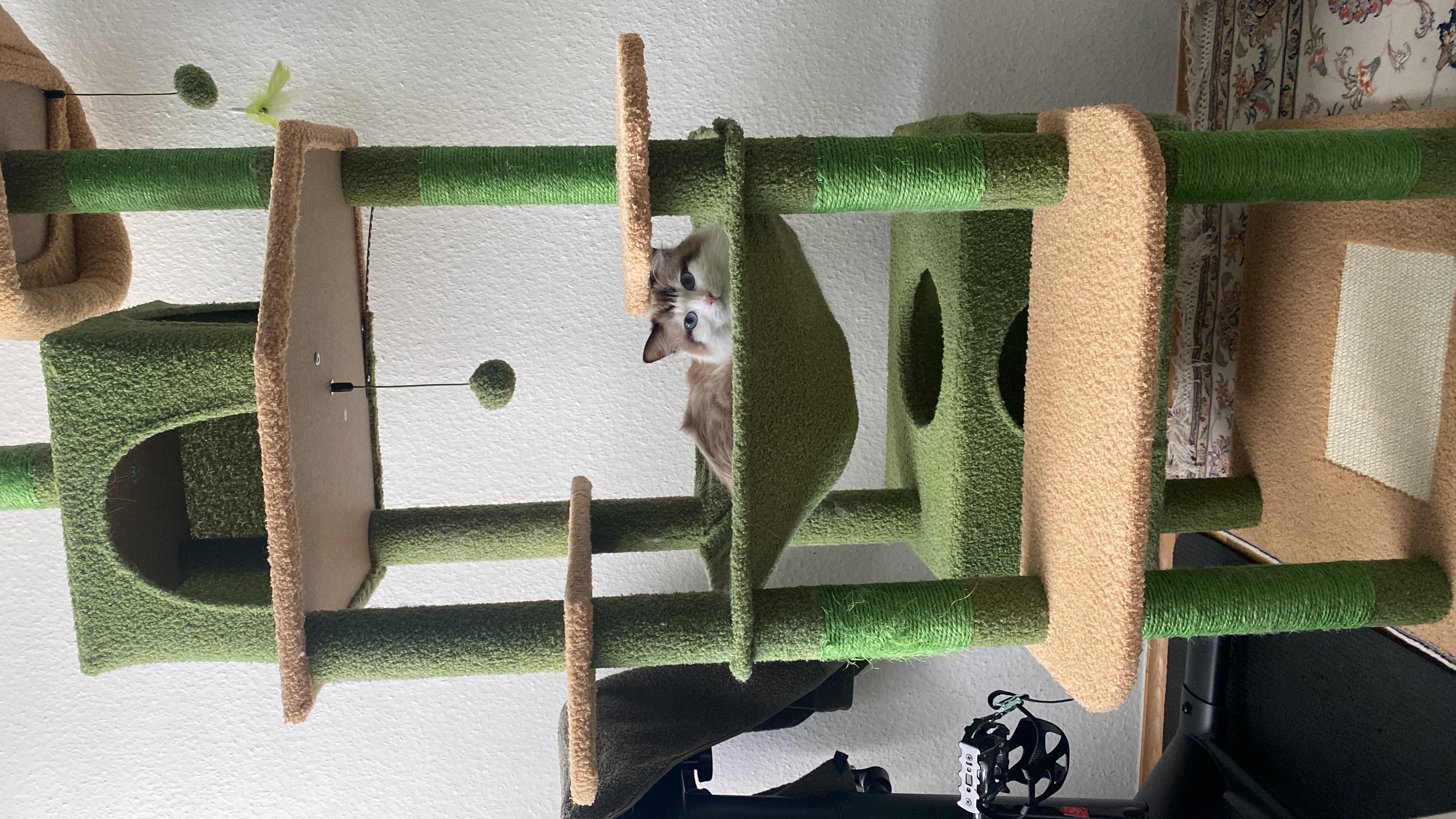 image-9