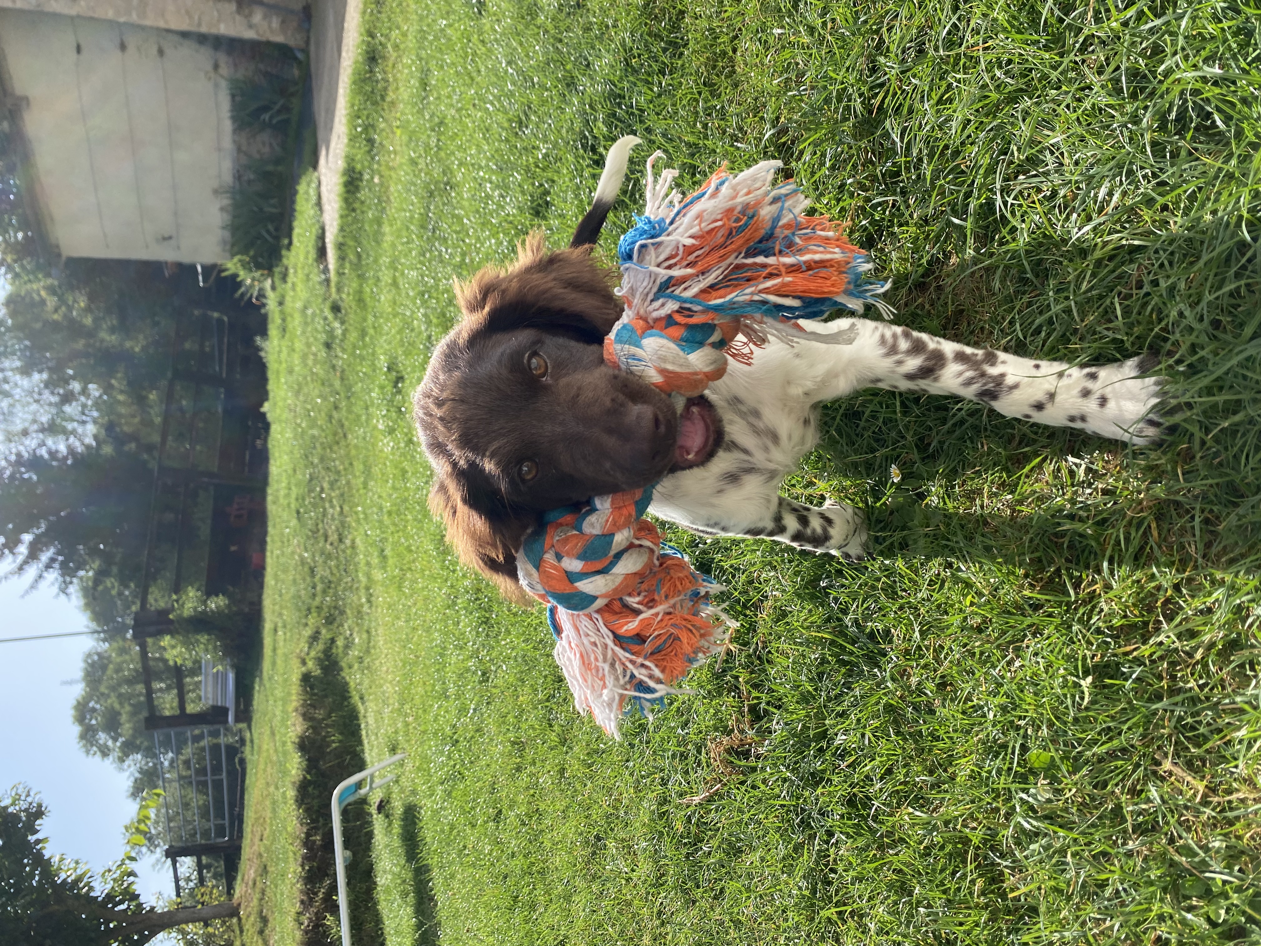 image-3