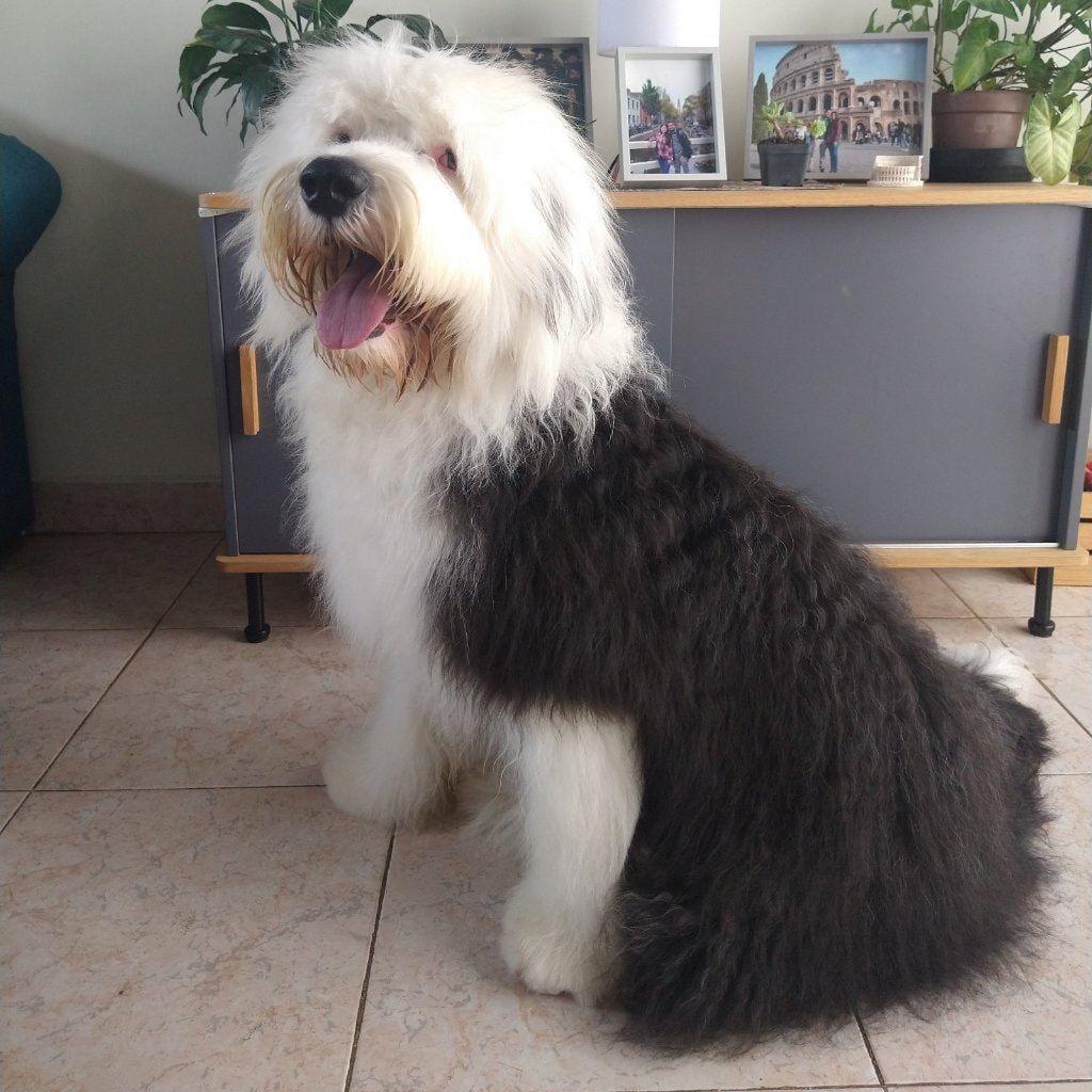 Max