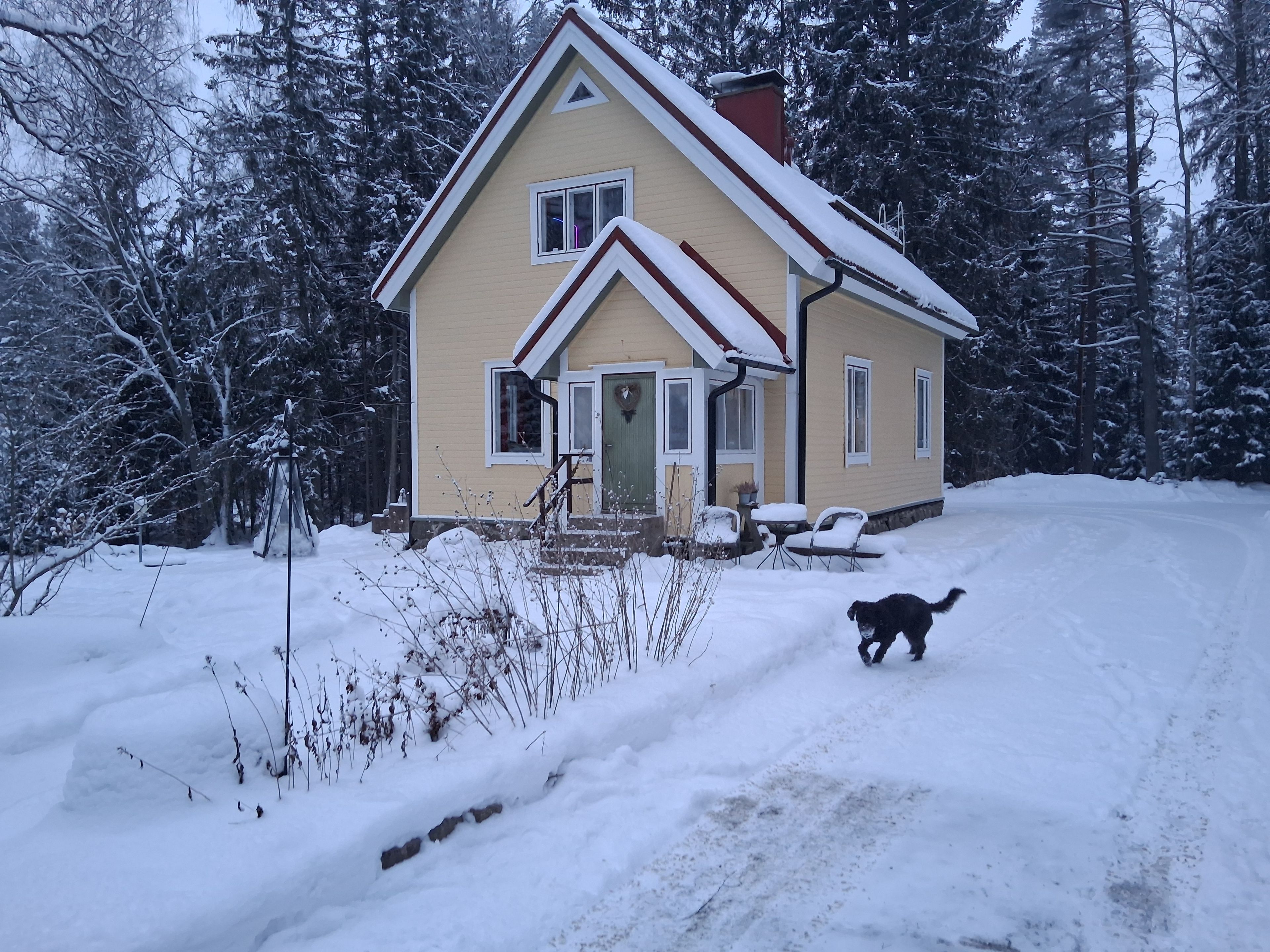 image-11