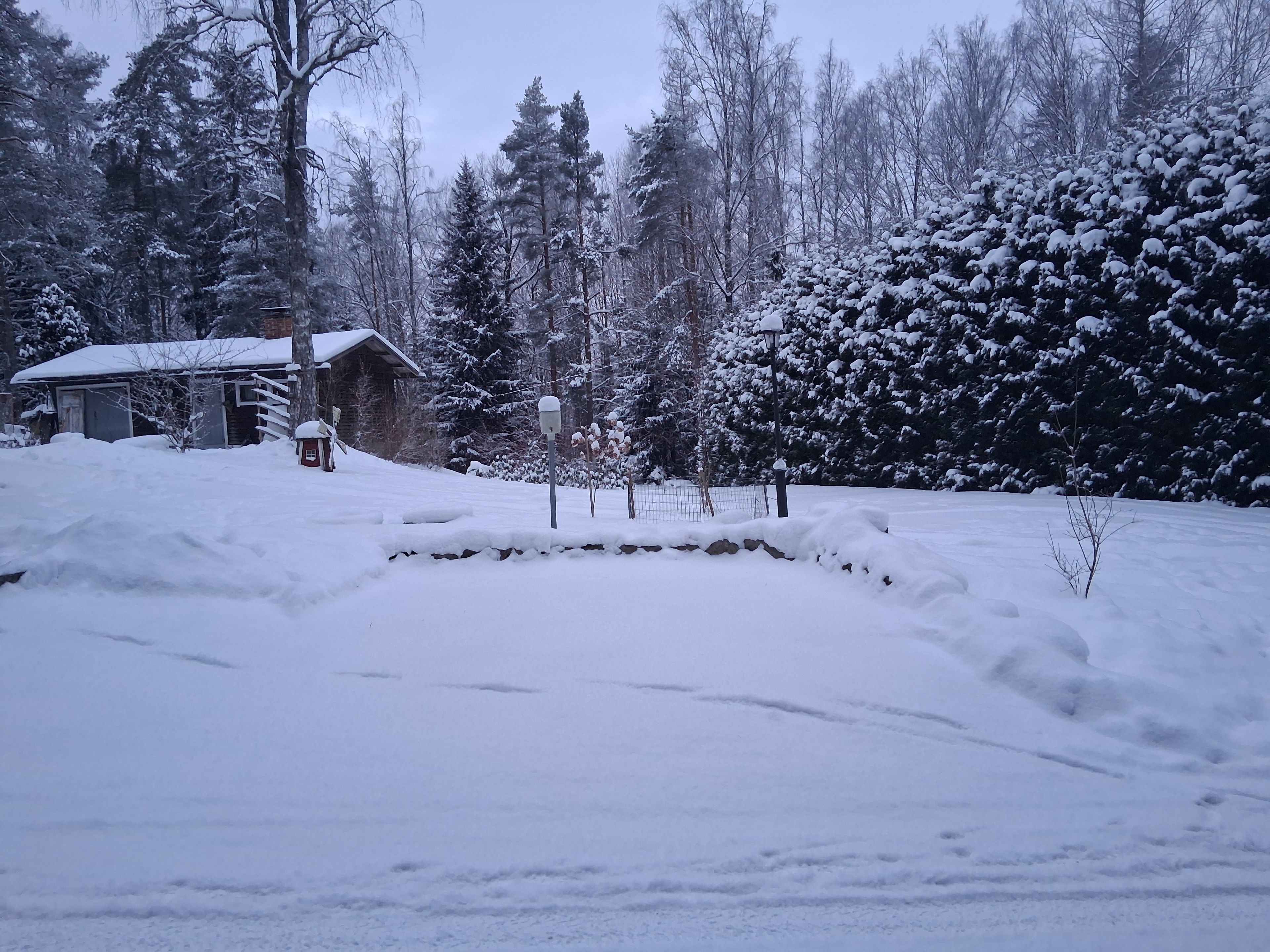 image-12