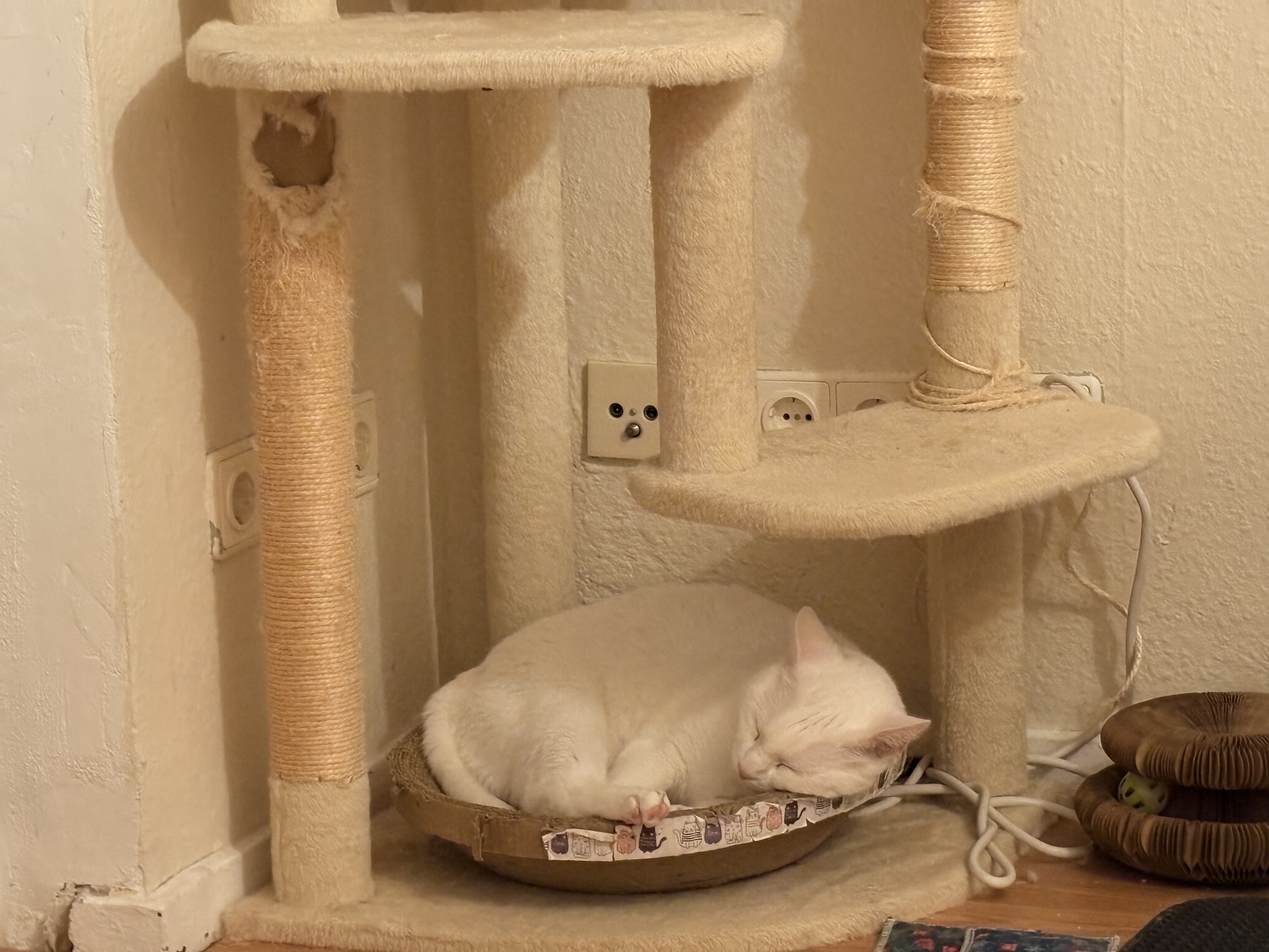 image-6