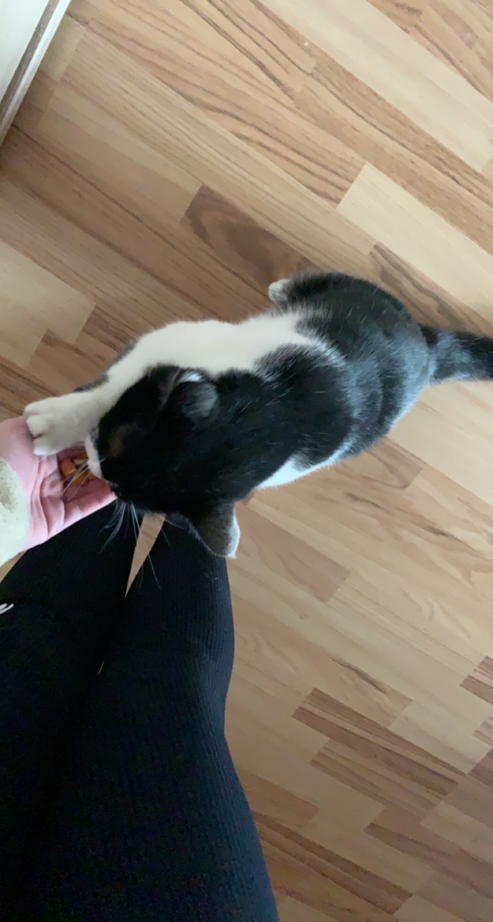 image-8