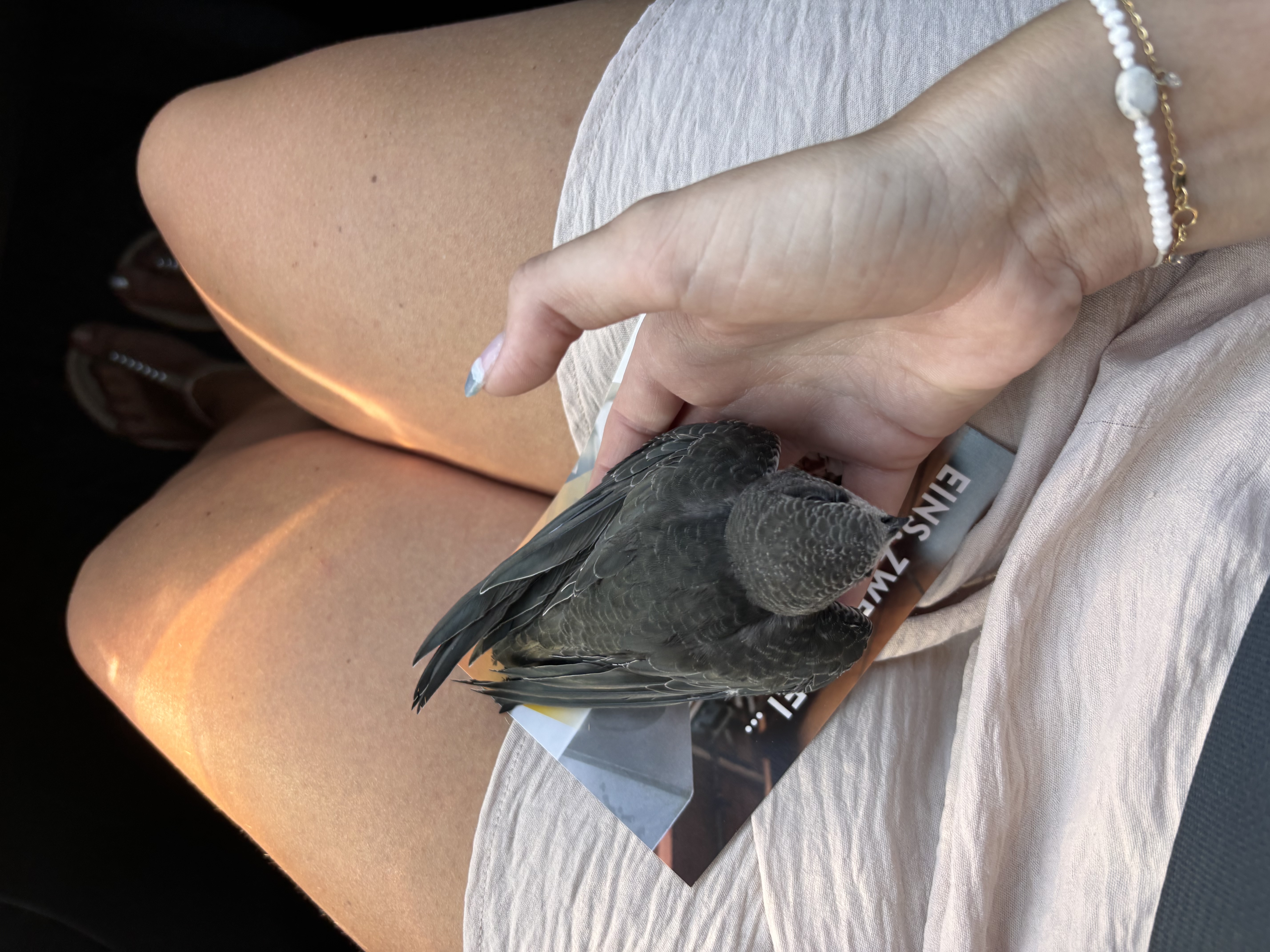image-6