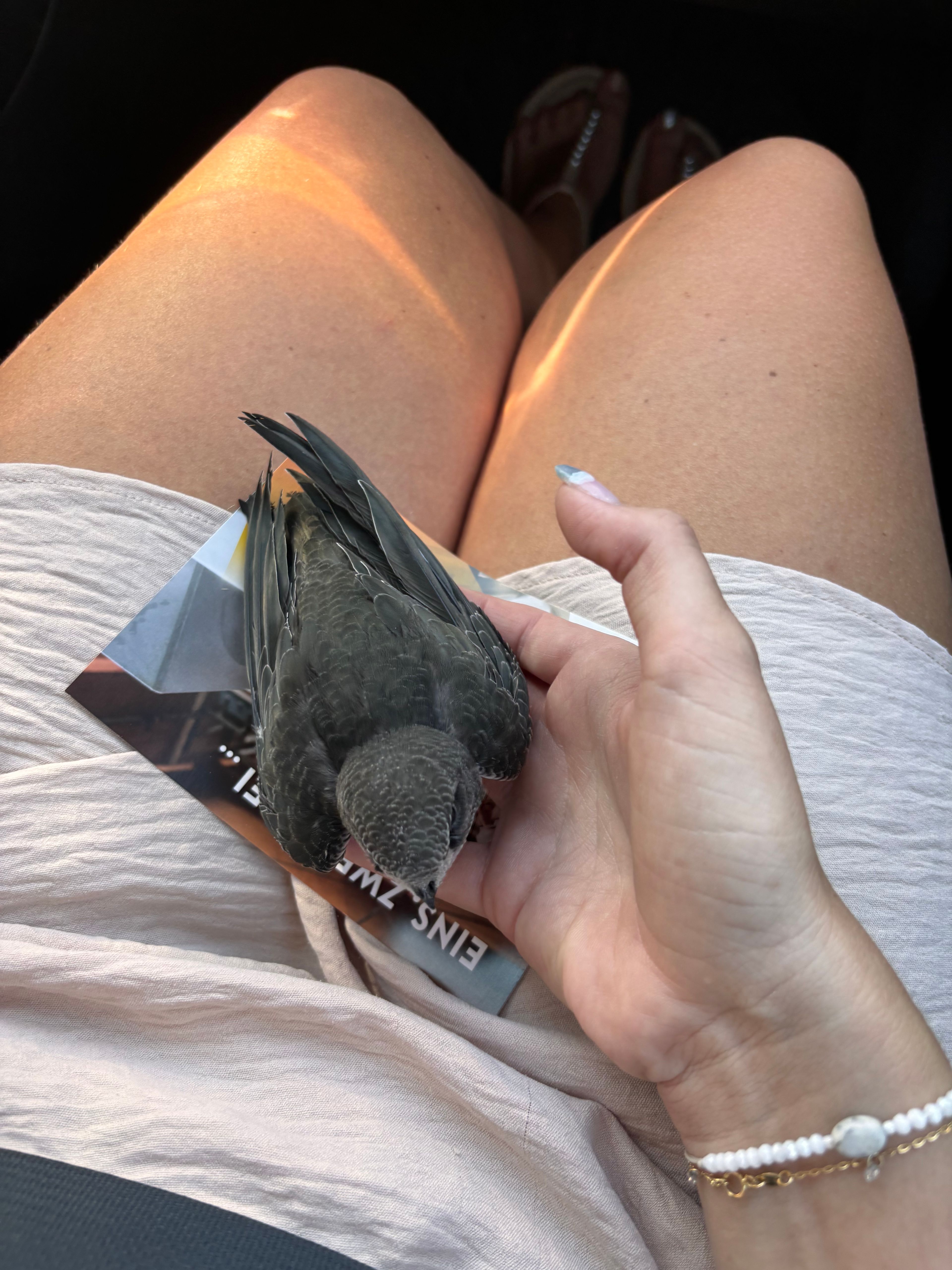 image-6