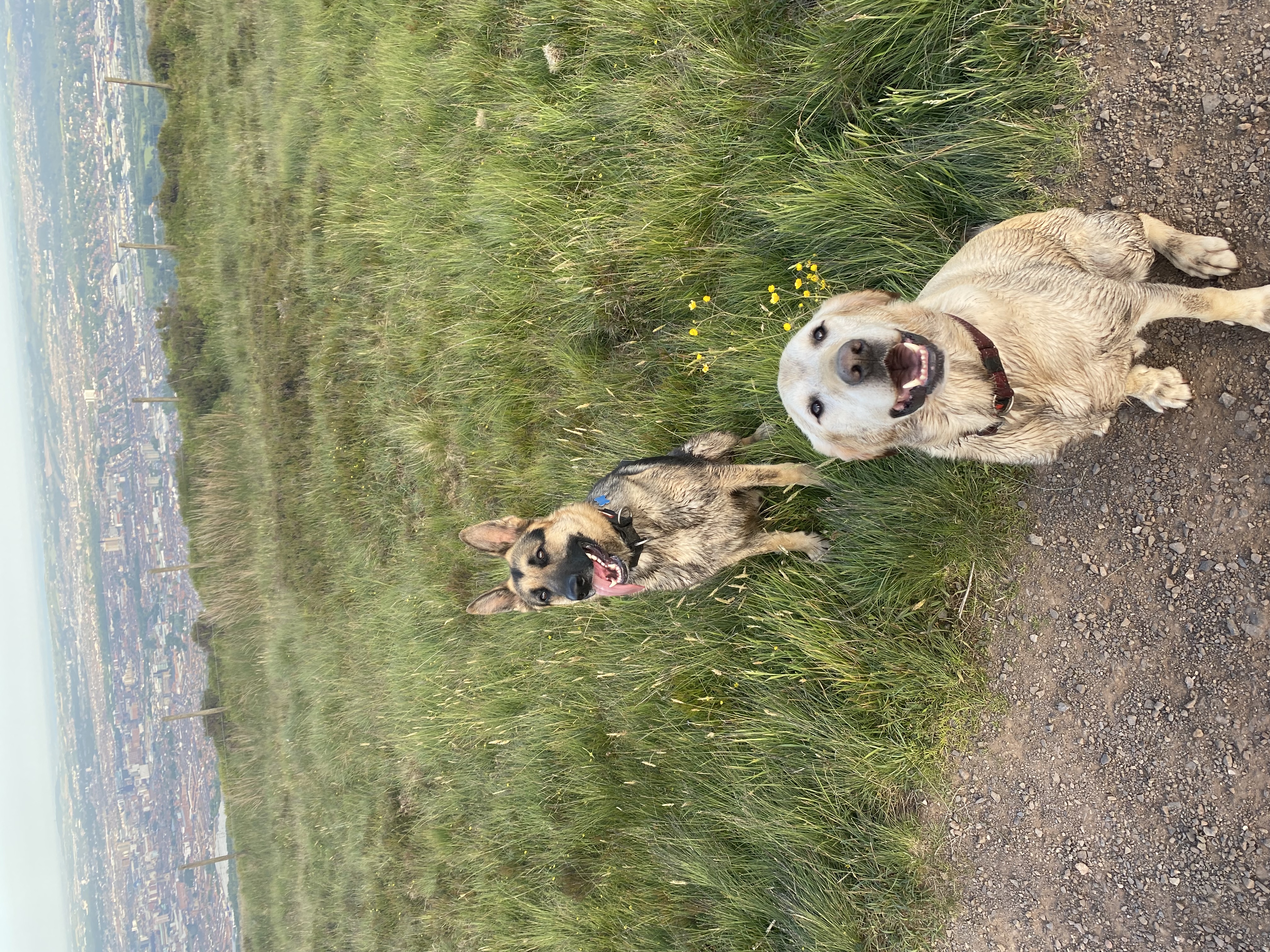 image-9