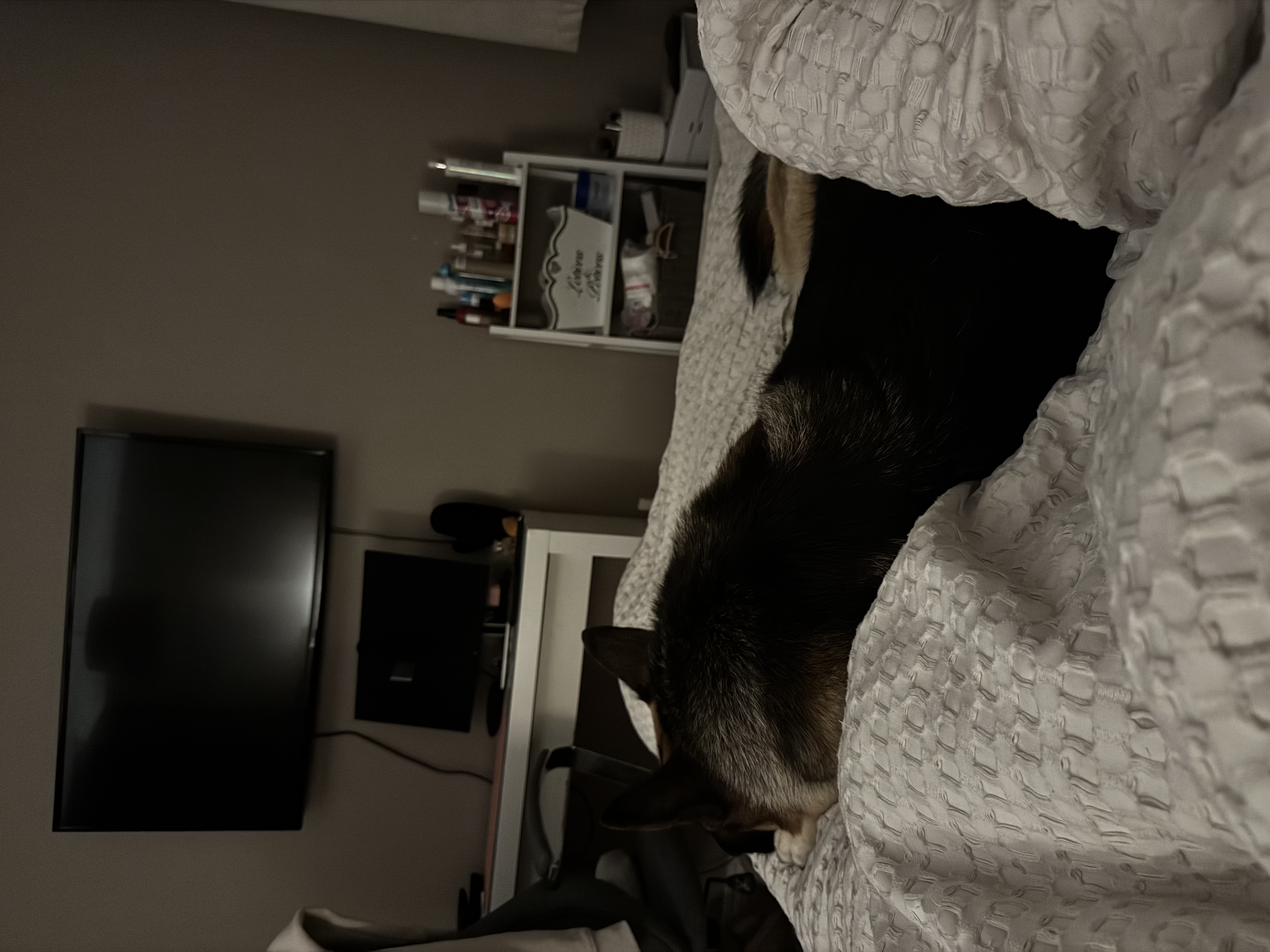 image-10