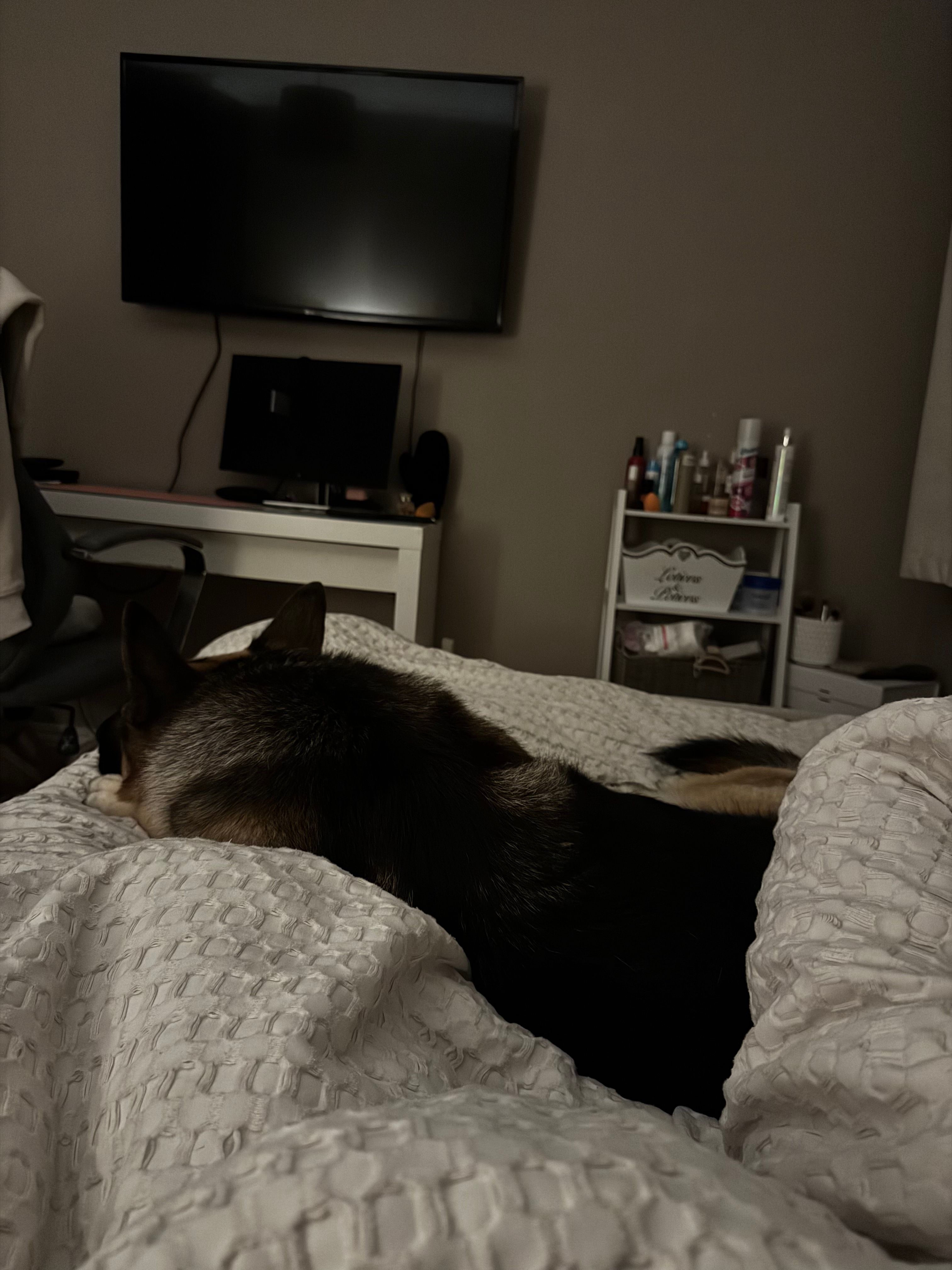 image-10