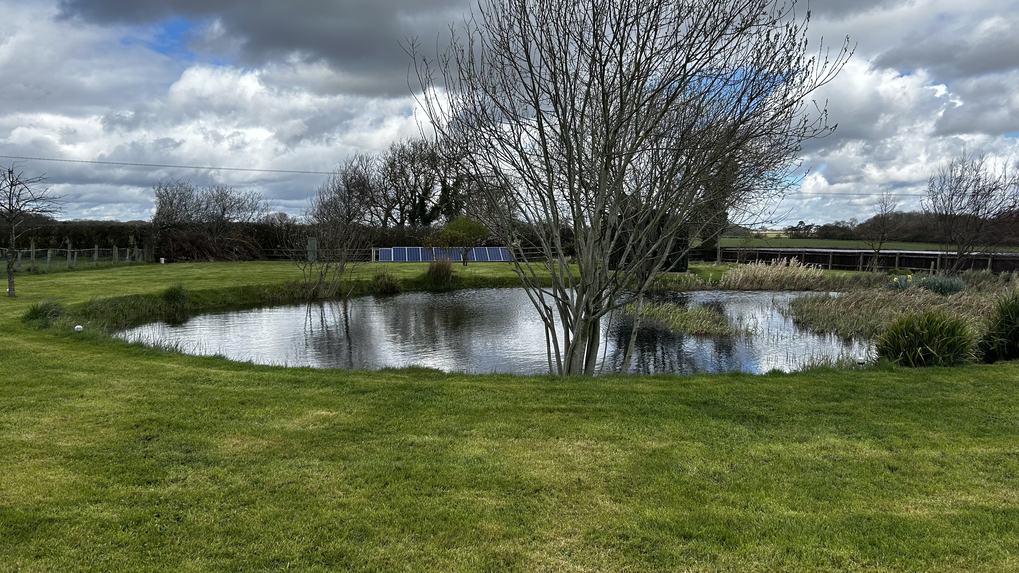 image-15