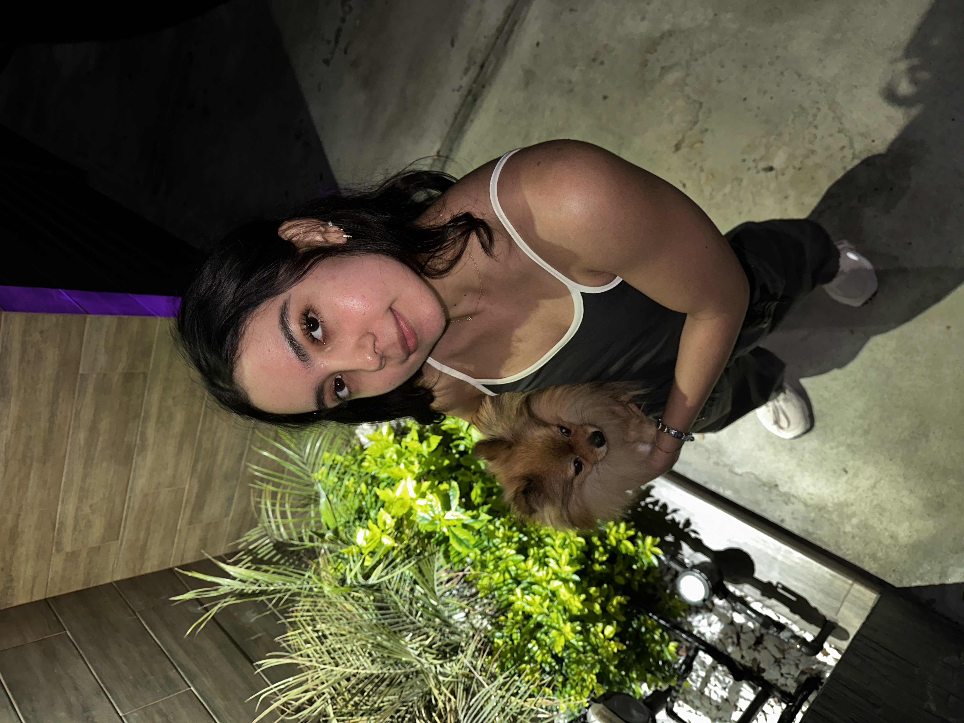 image-8