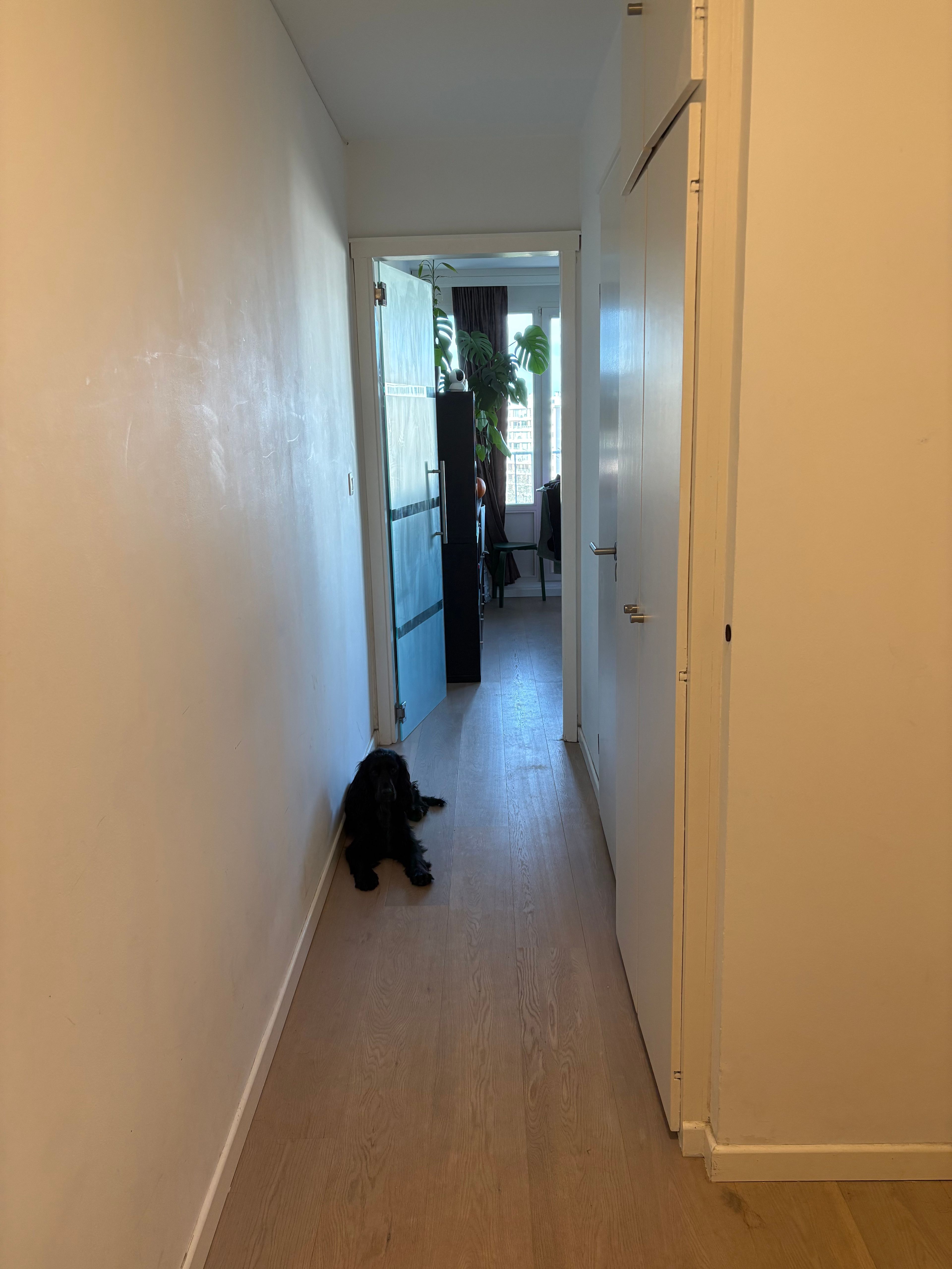 image-14