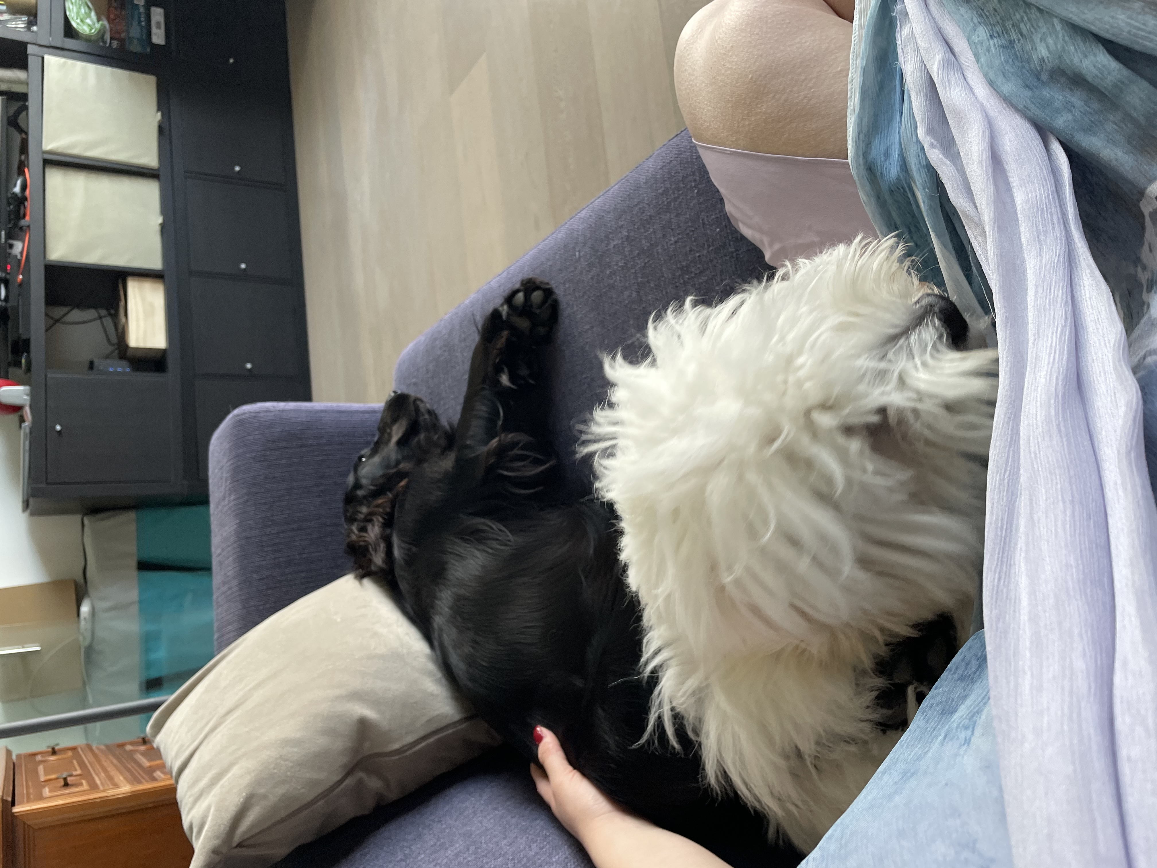 image-13