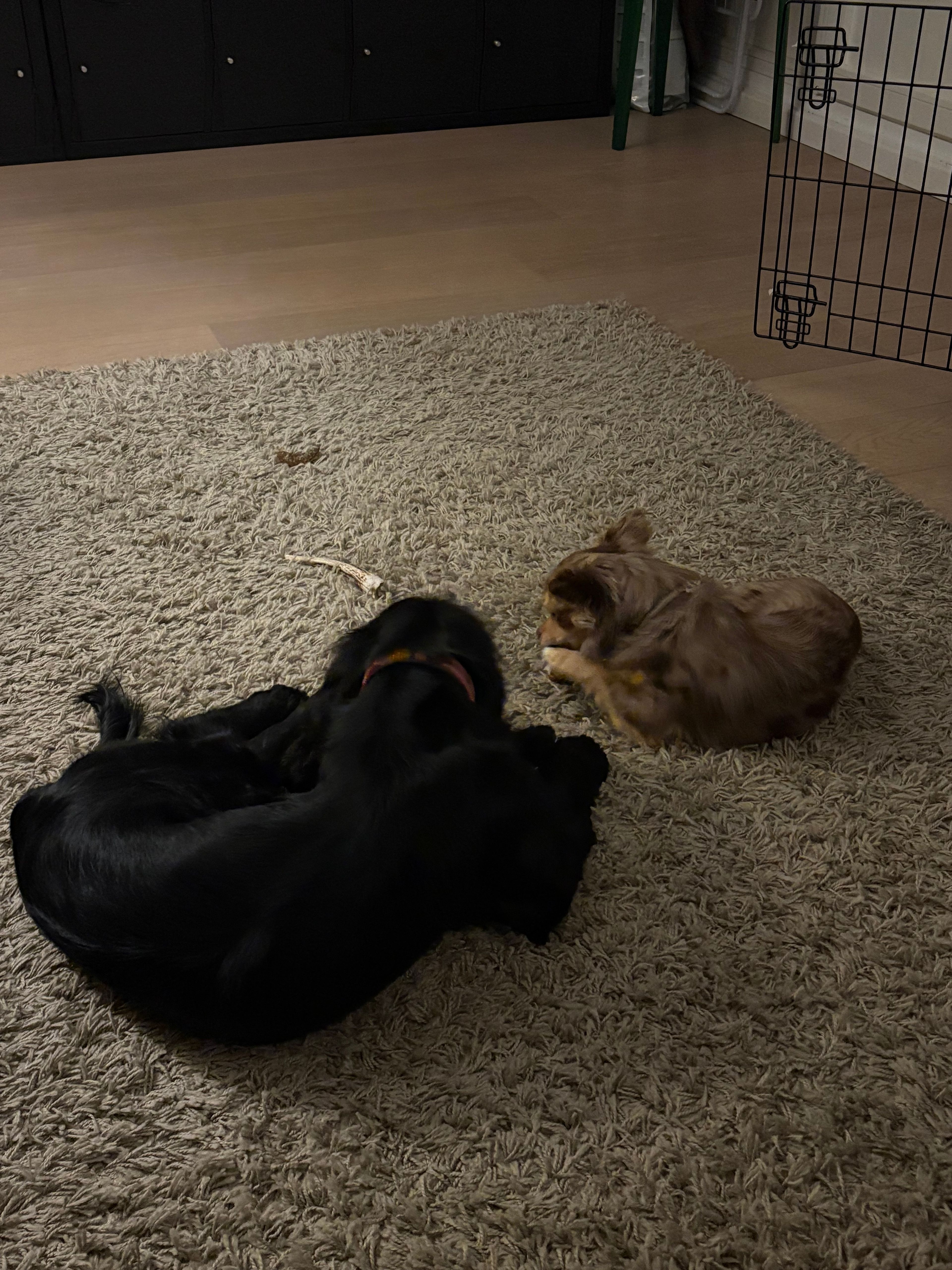 image-9