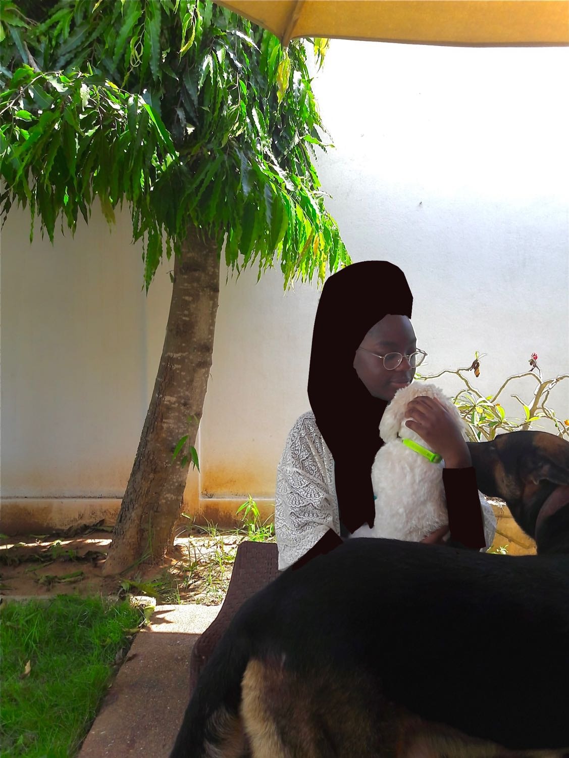image-5