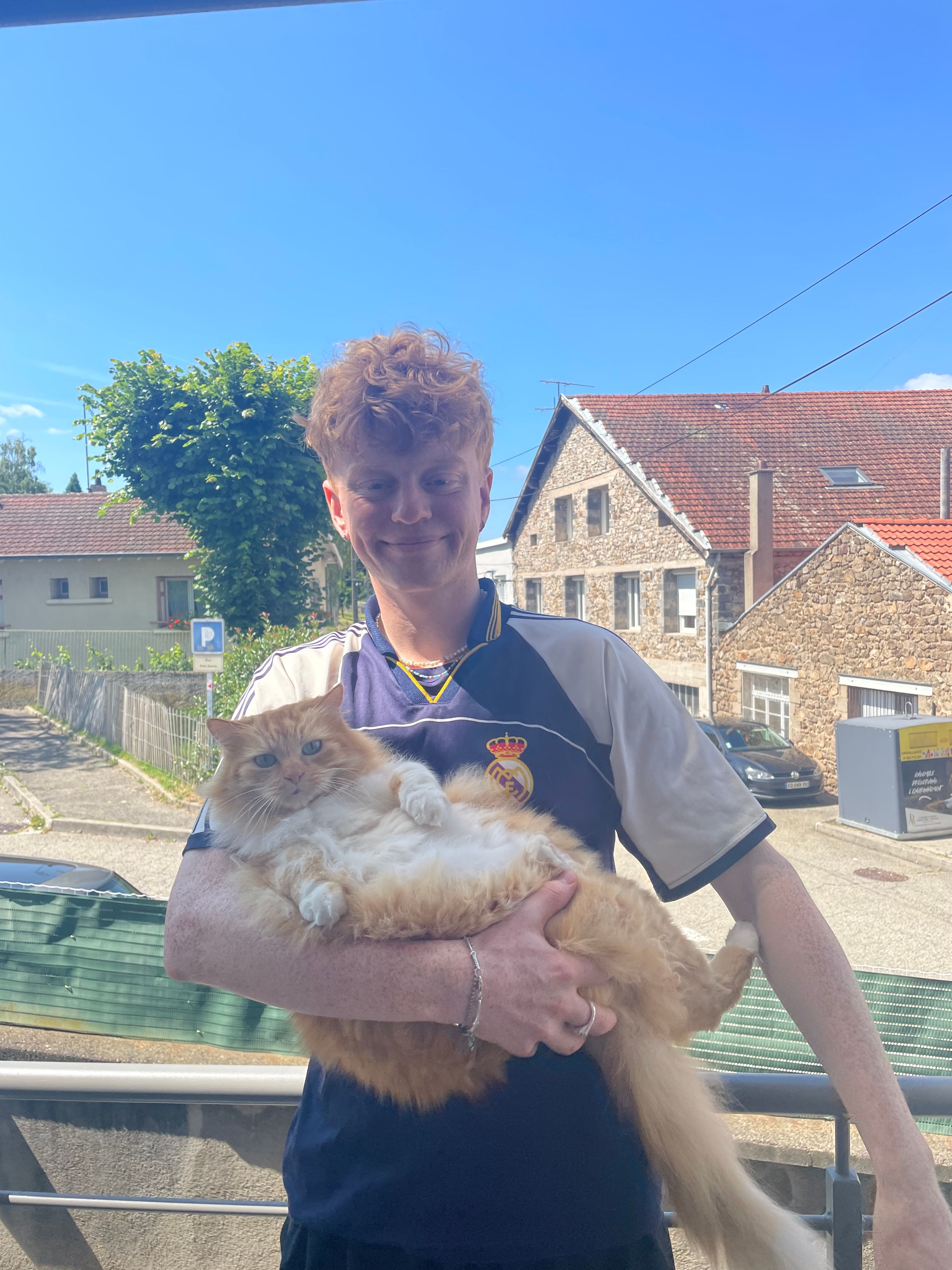 image-8