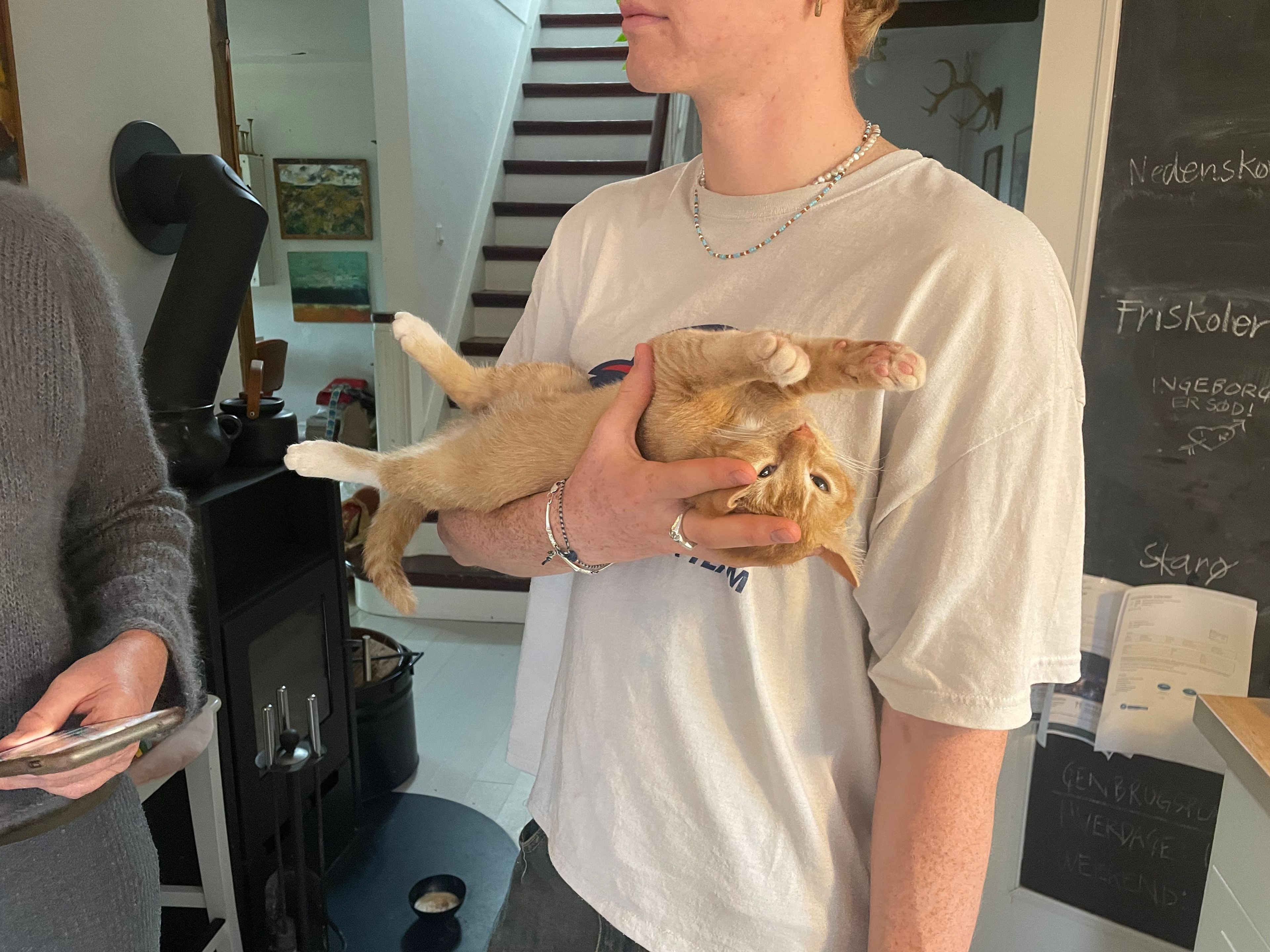 image-7