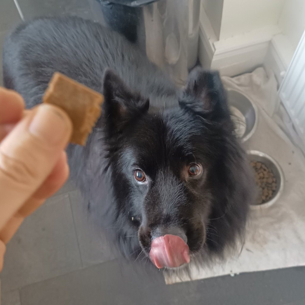 Gus 