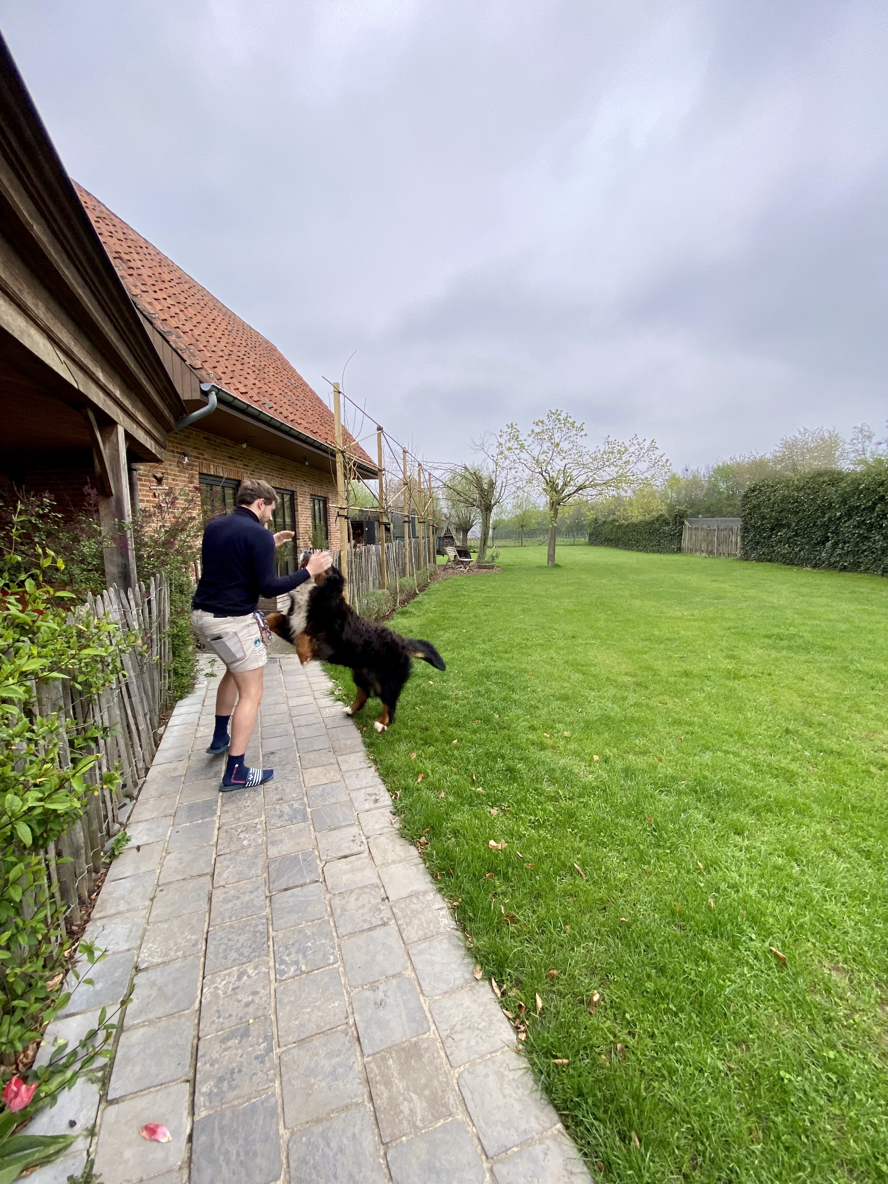 image-26