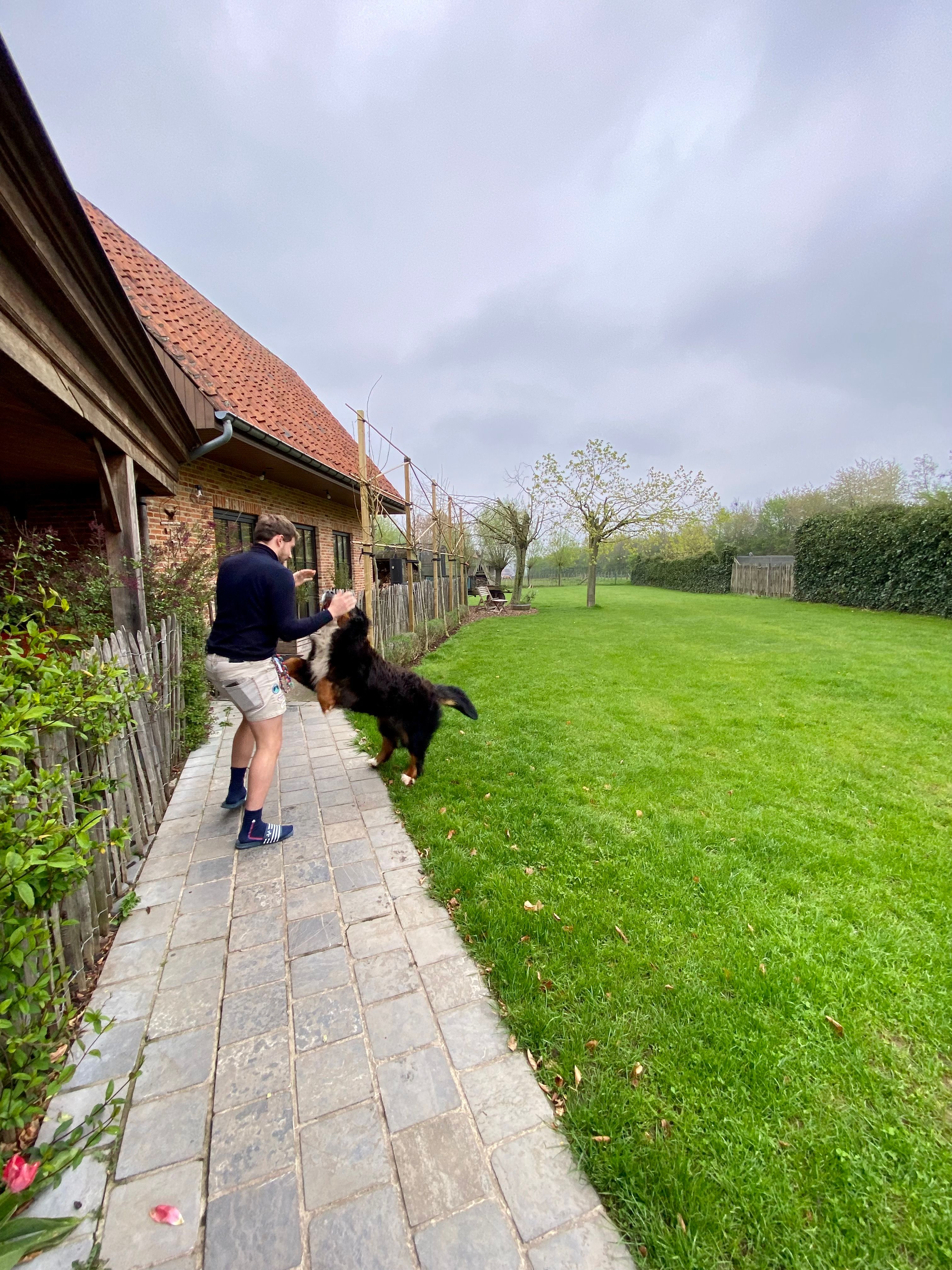 image-26