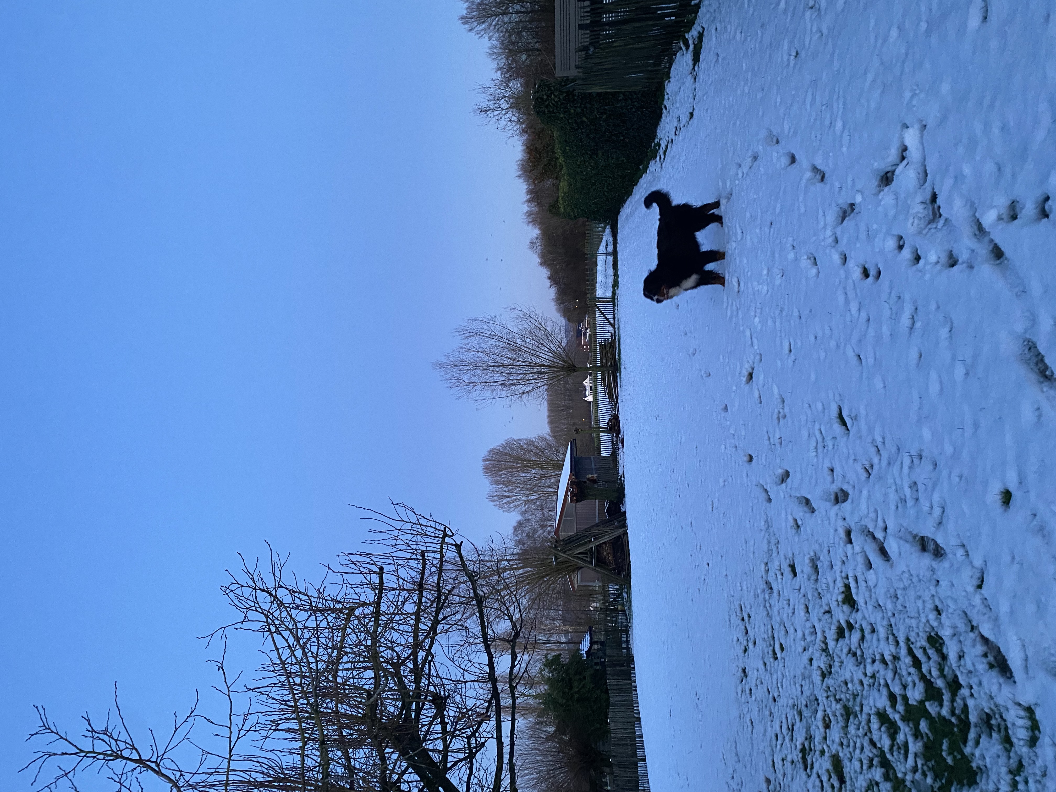 image-18