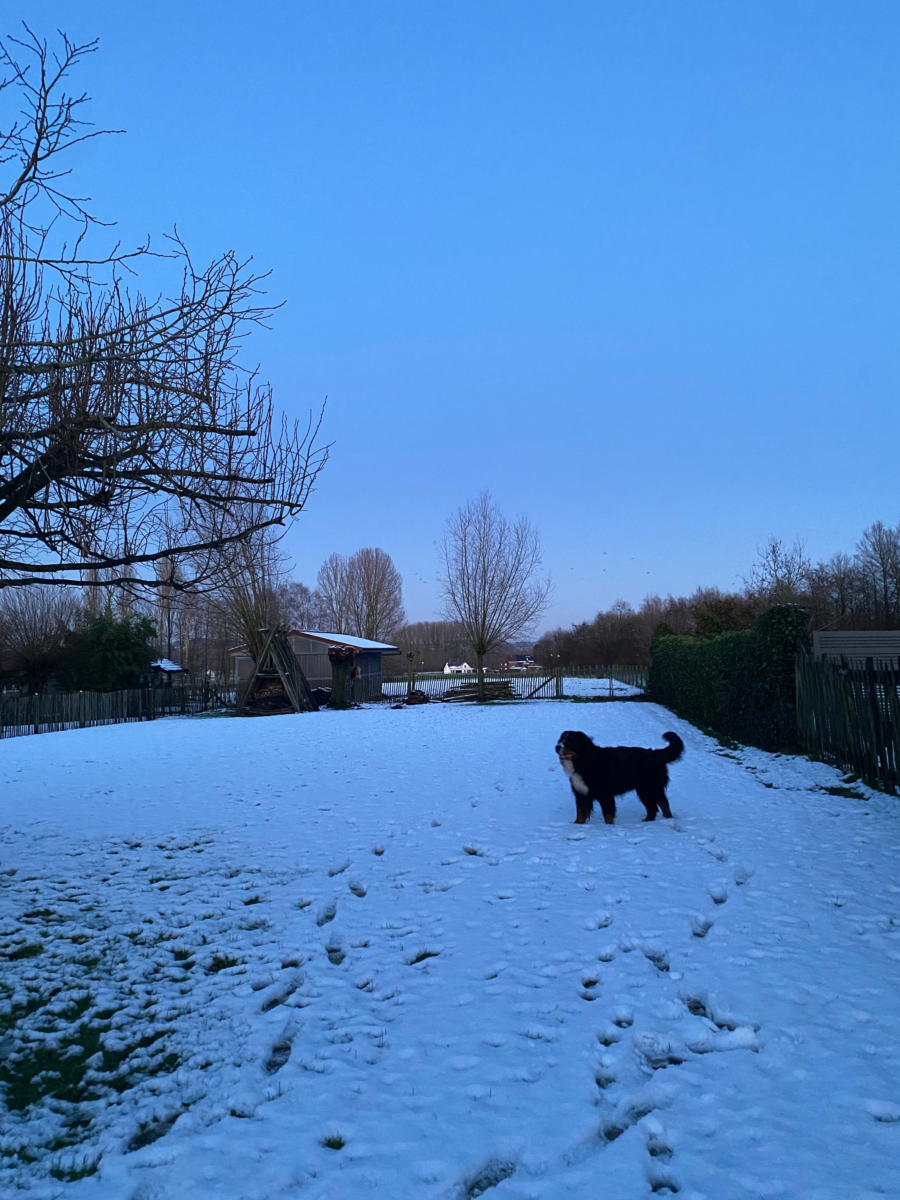image-18