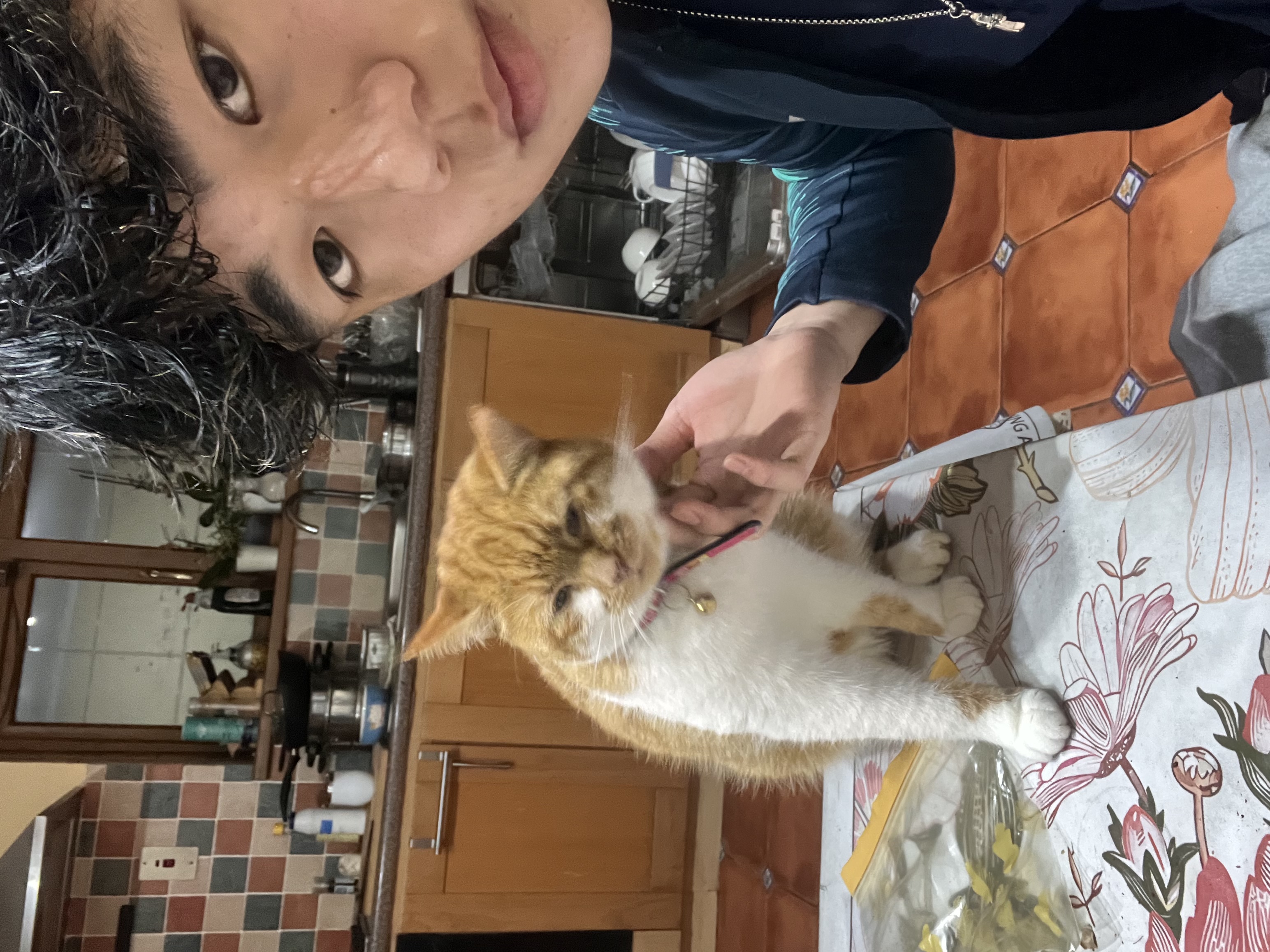 image-16