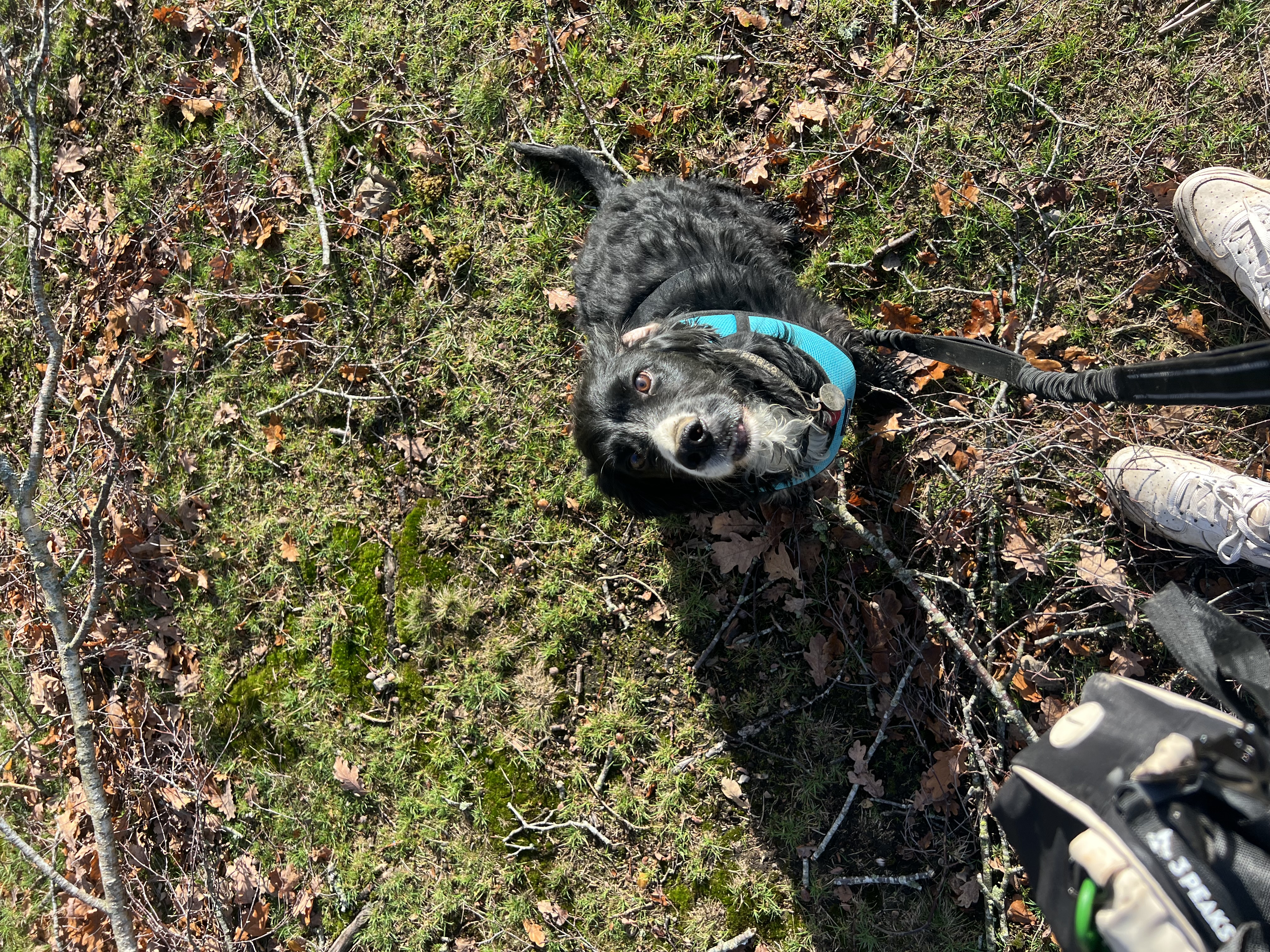 image-7