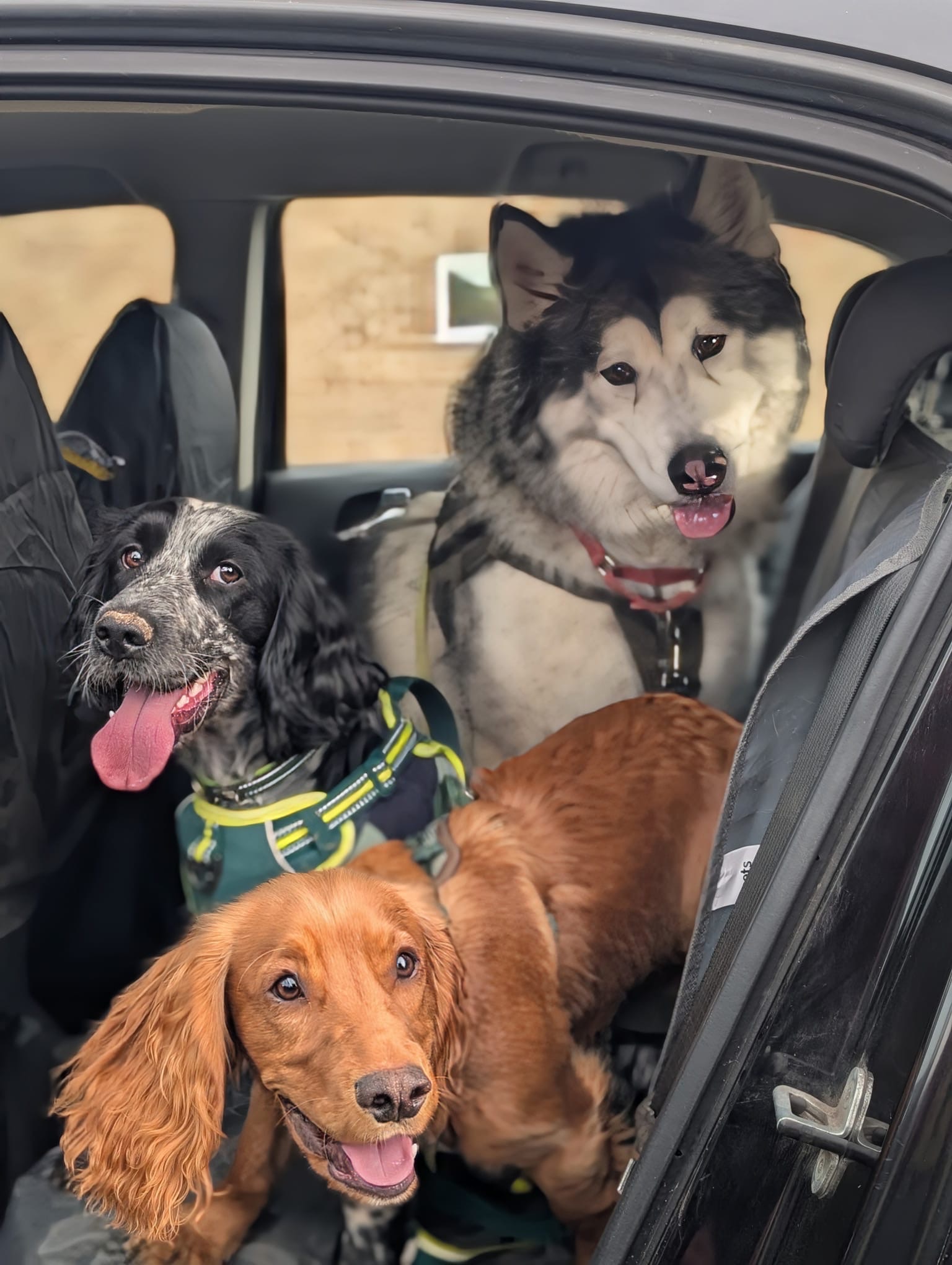 image-21