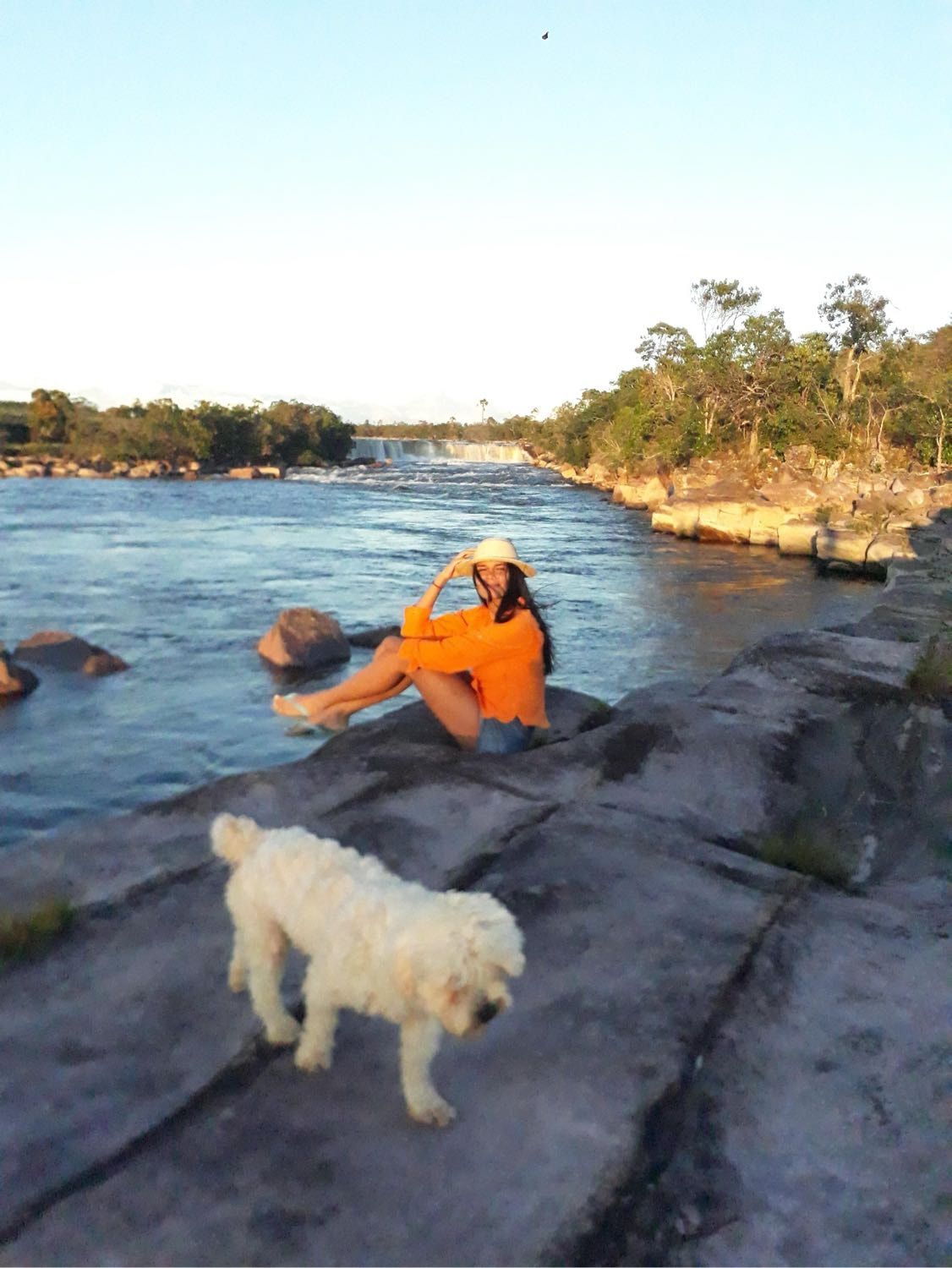 image-4