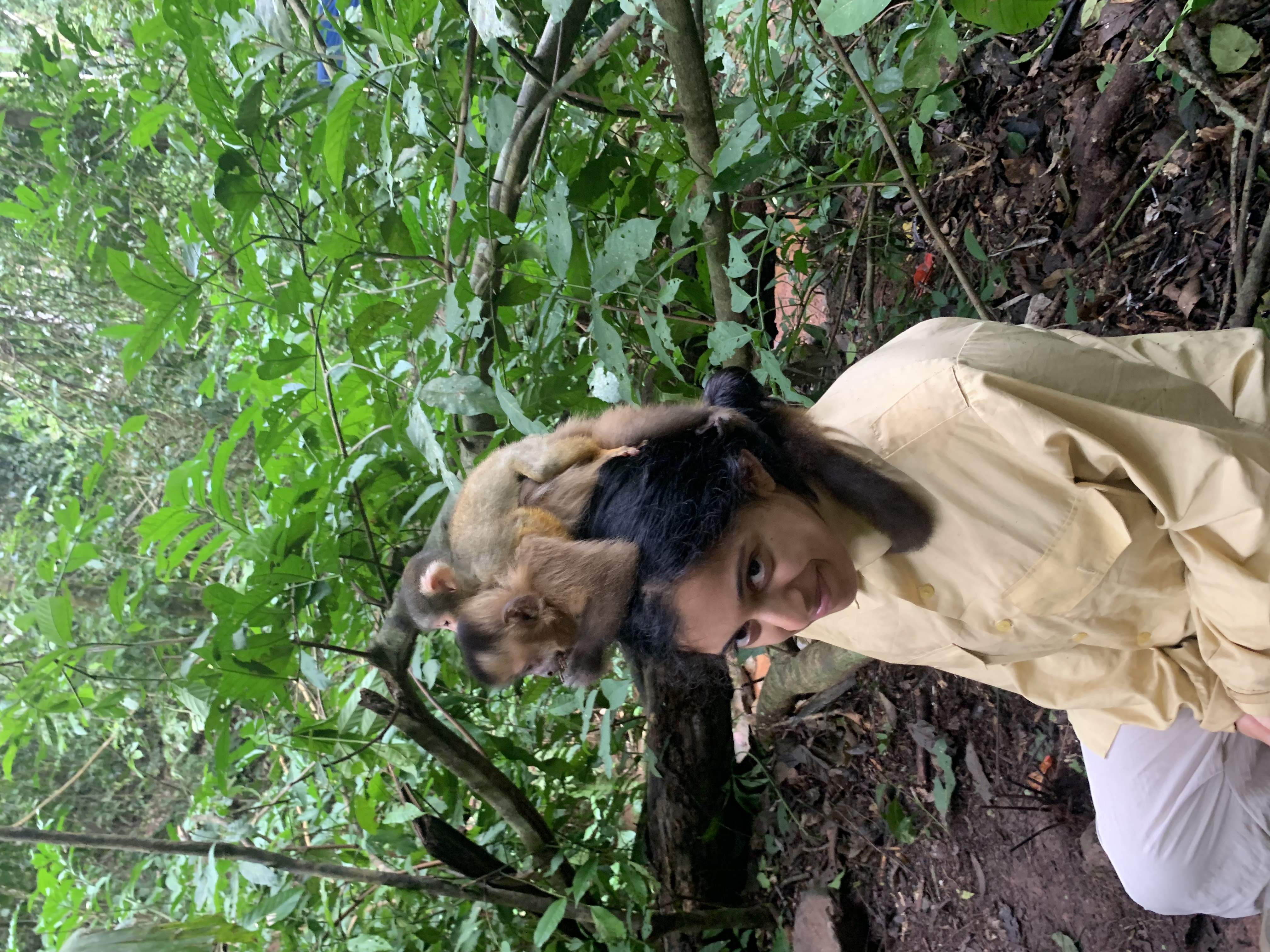 image-6