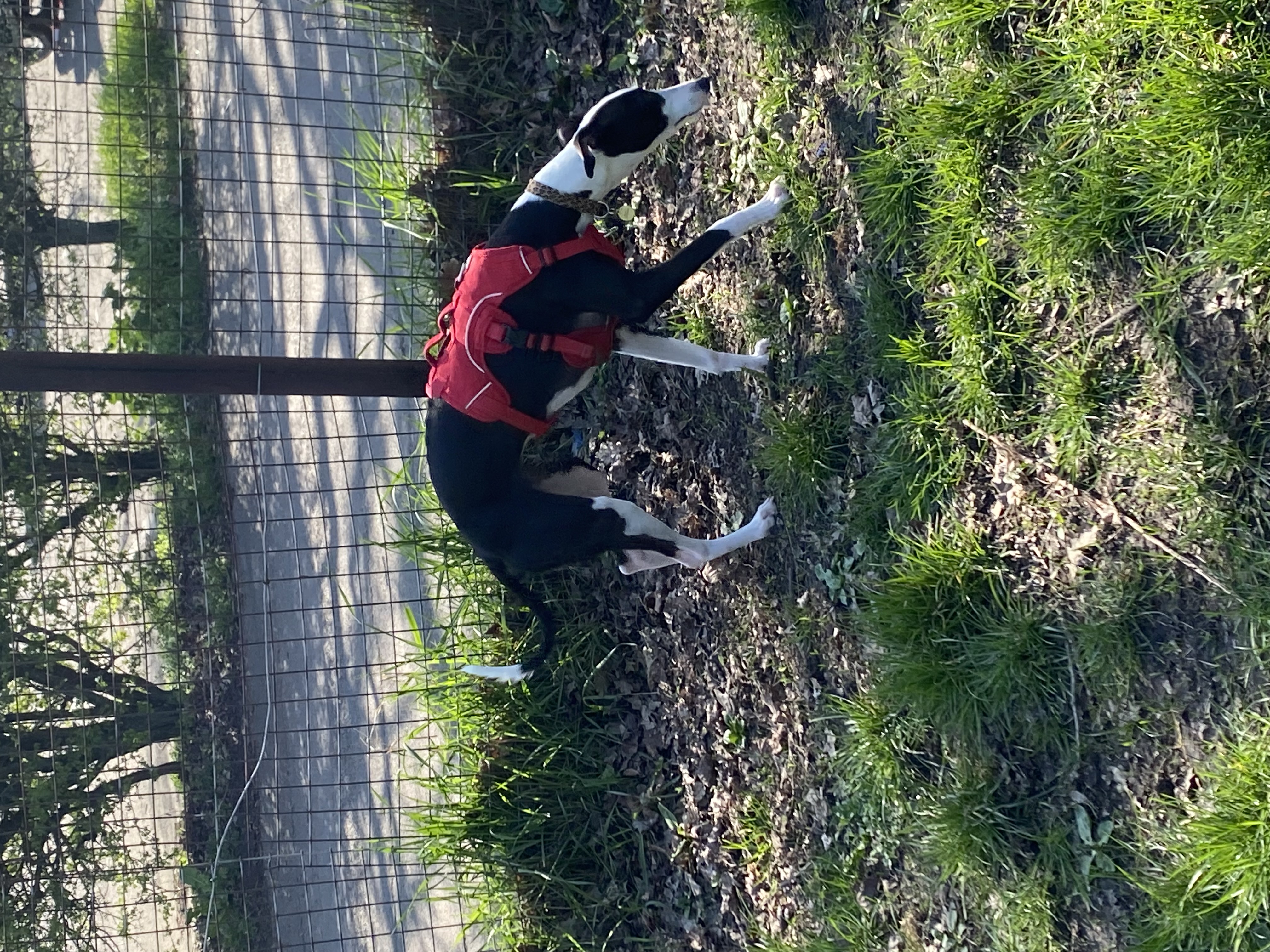 image-6