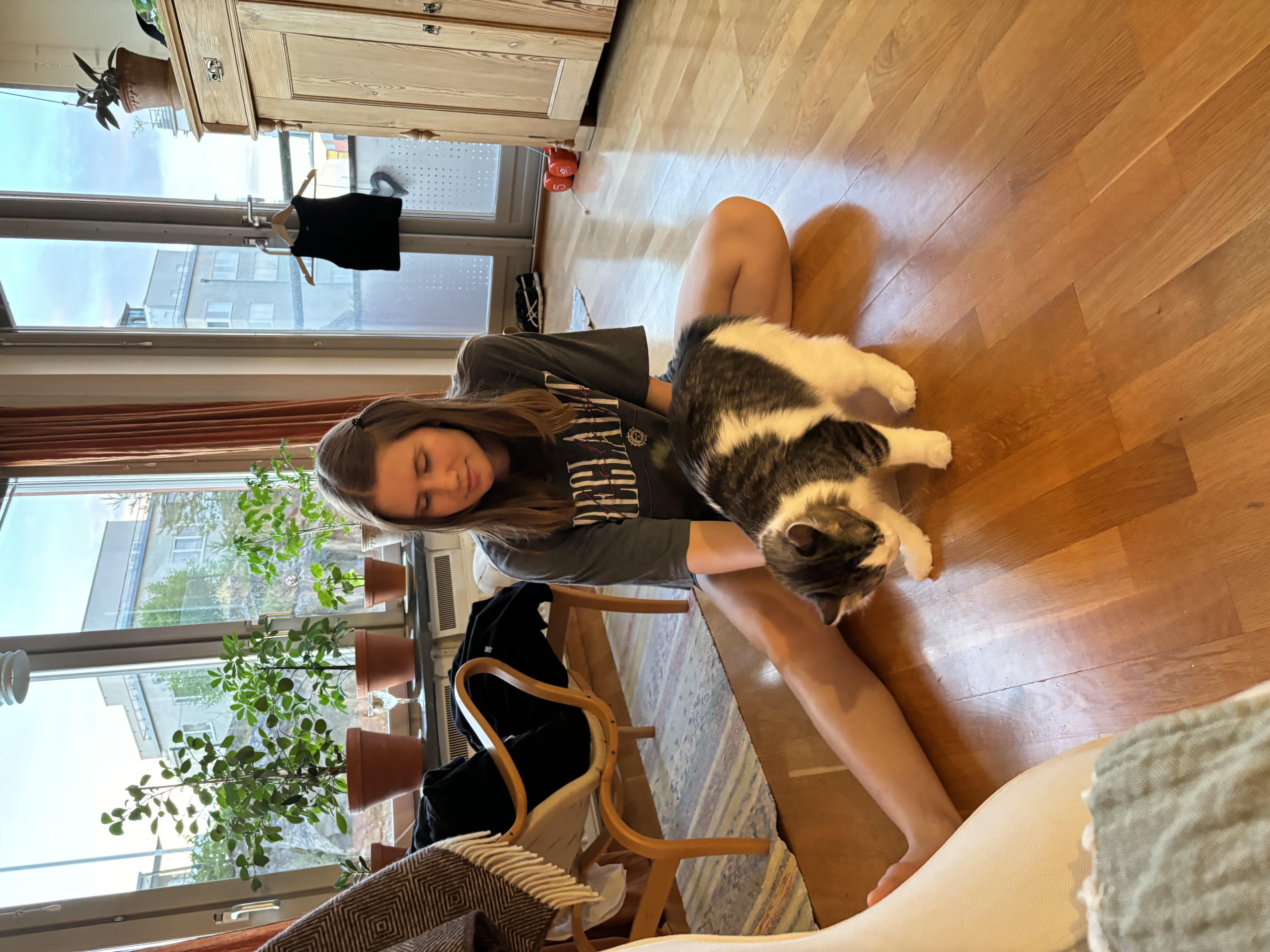 image-6