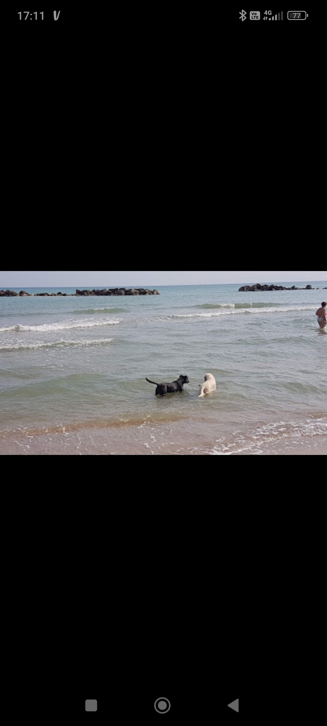 image-8
