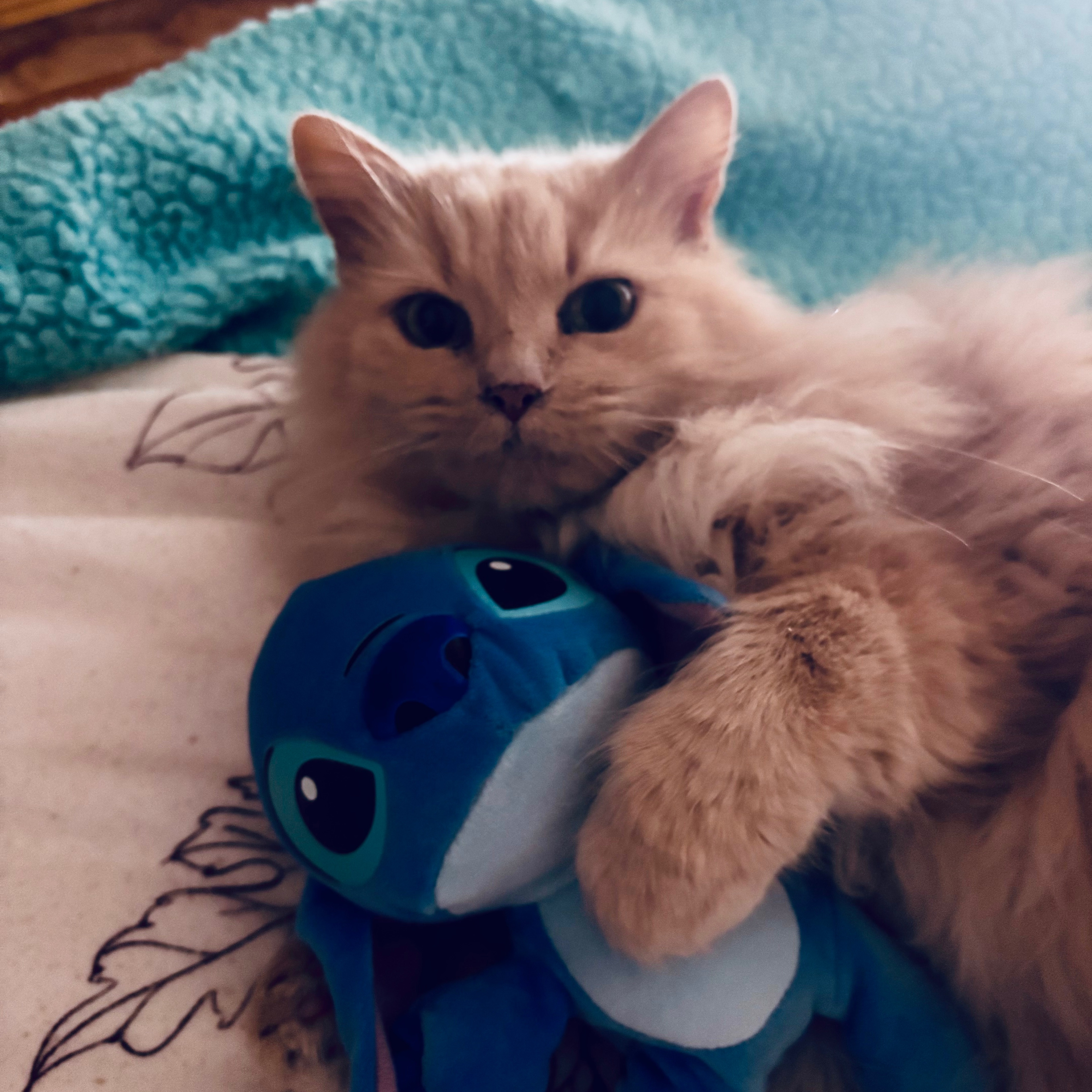 Luna