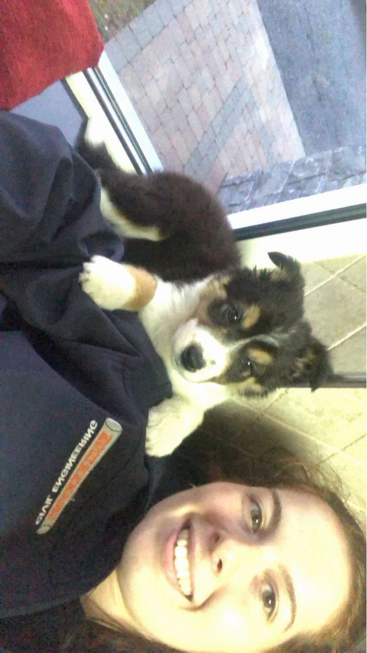 image-2