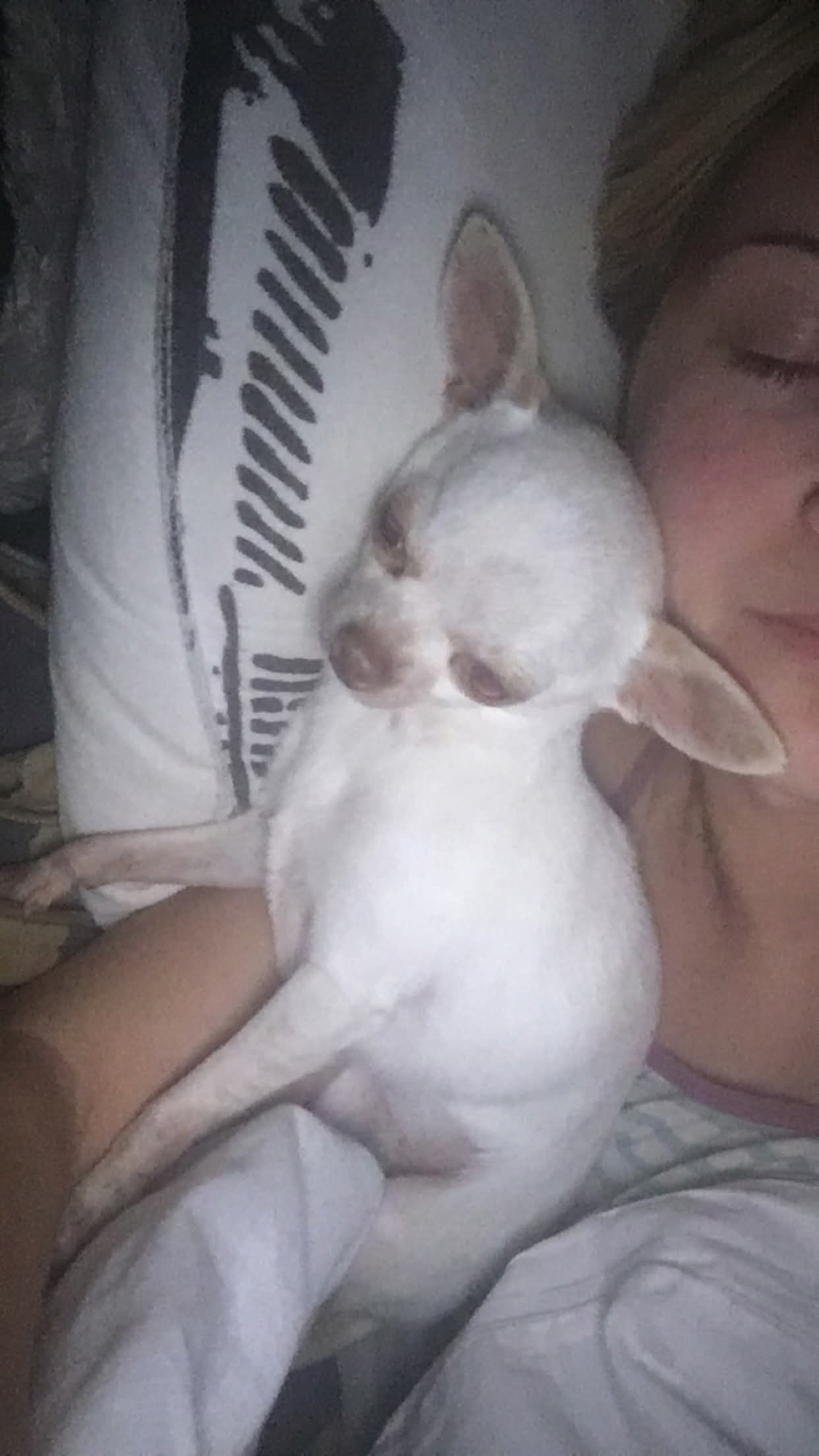 image-8