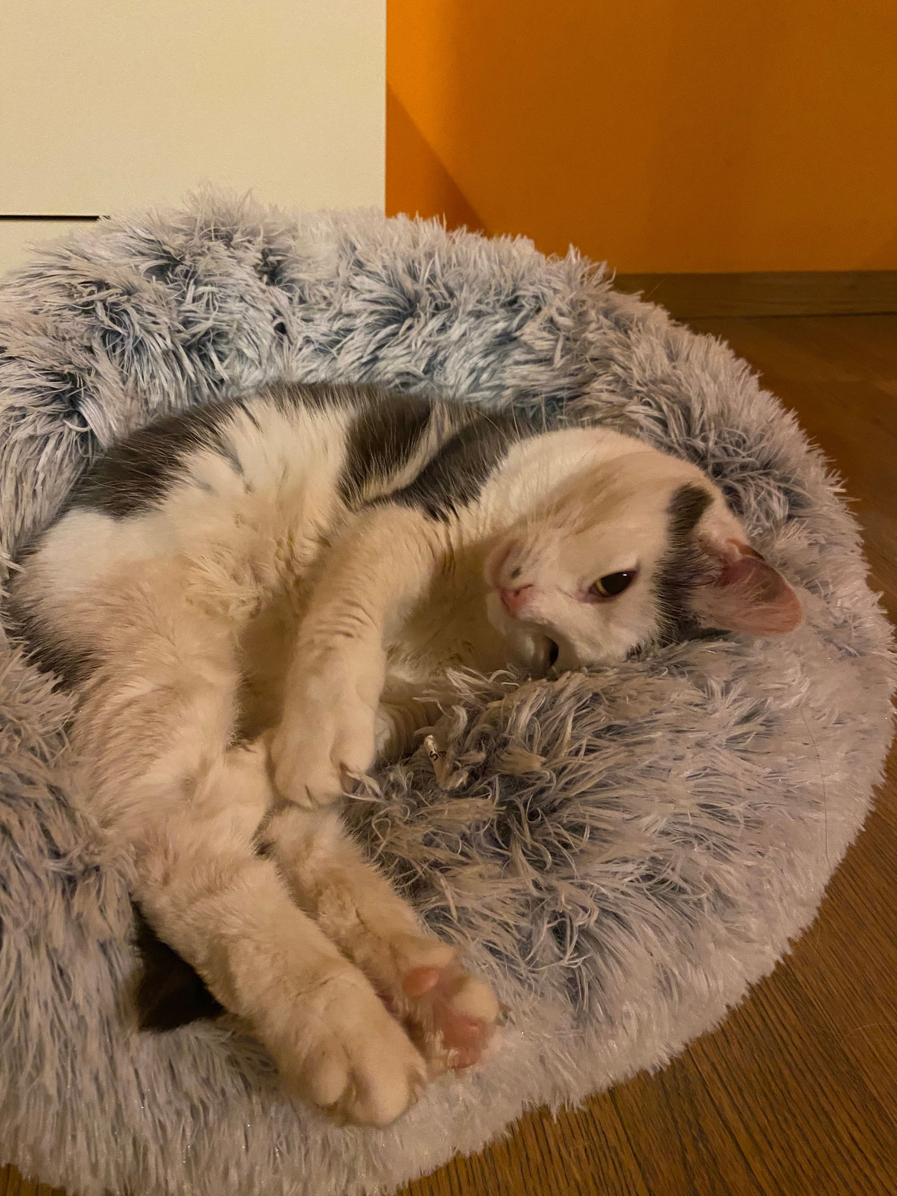 image-8