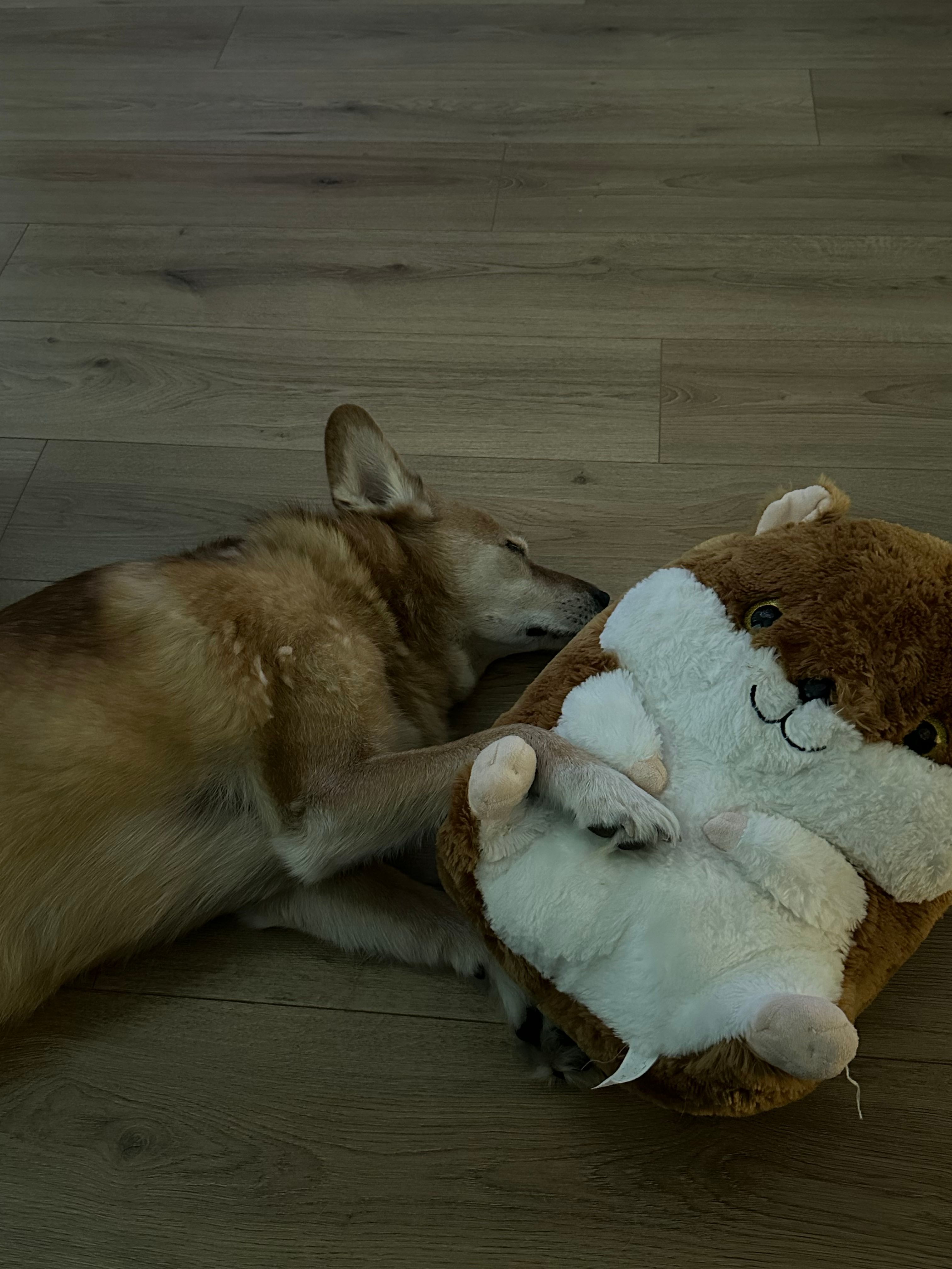 image-5