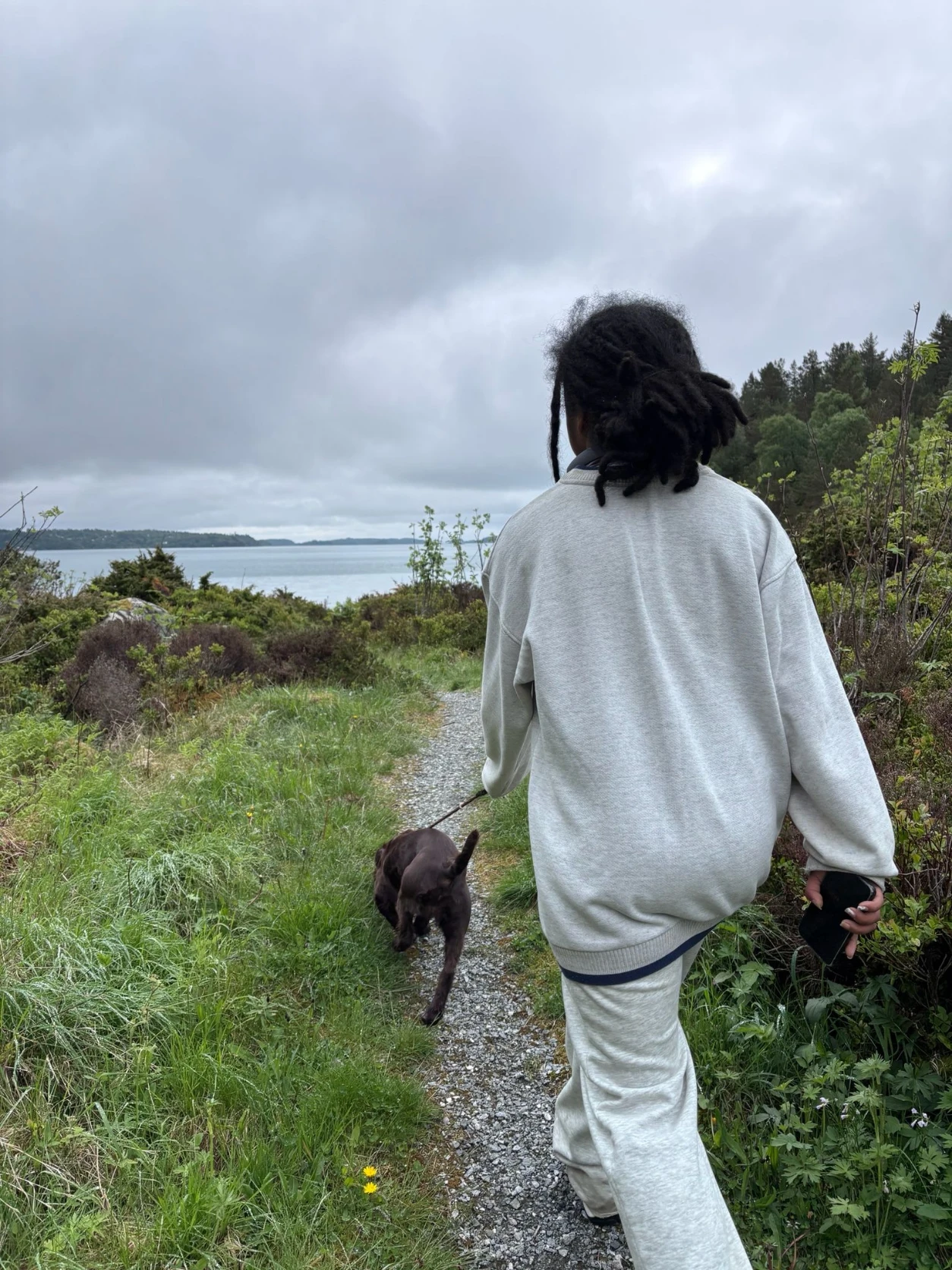 image-8