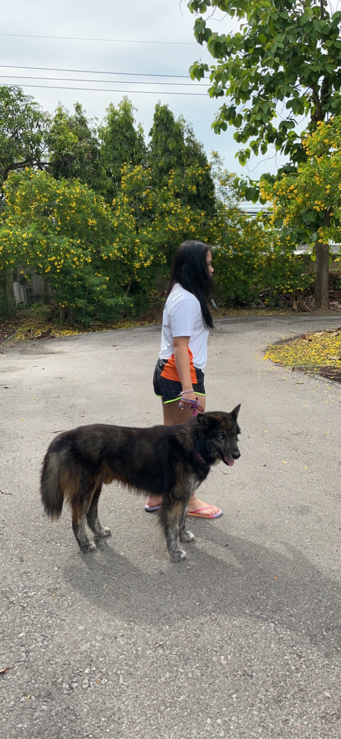 image-9