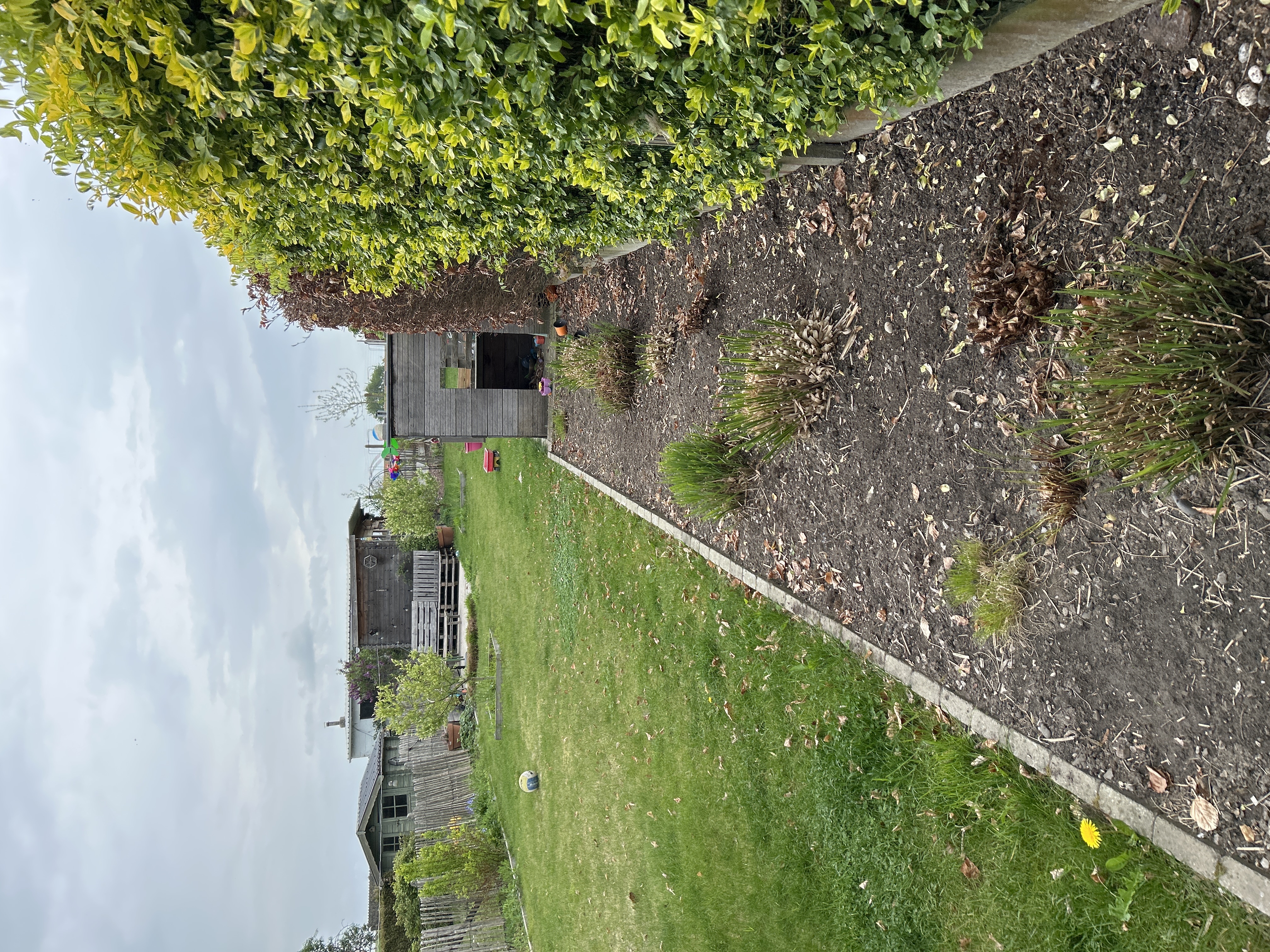 image-16