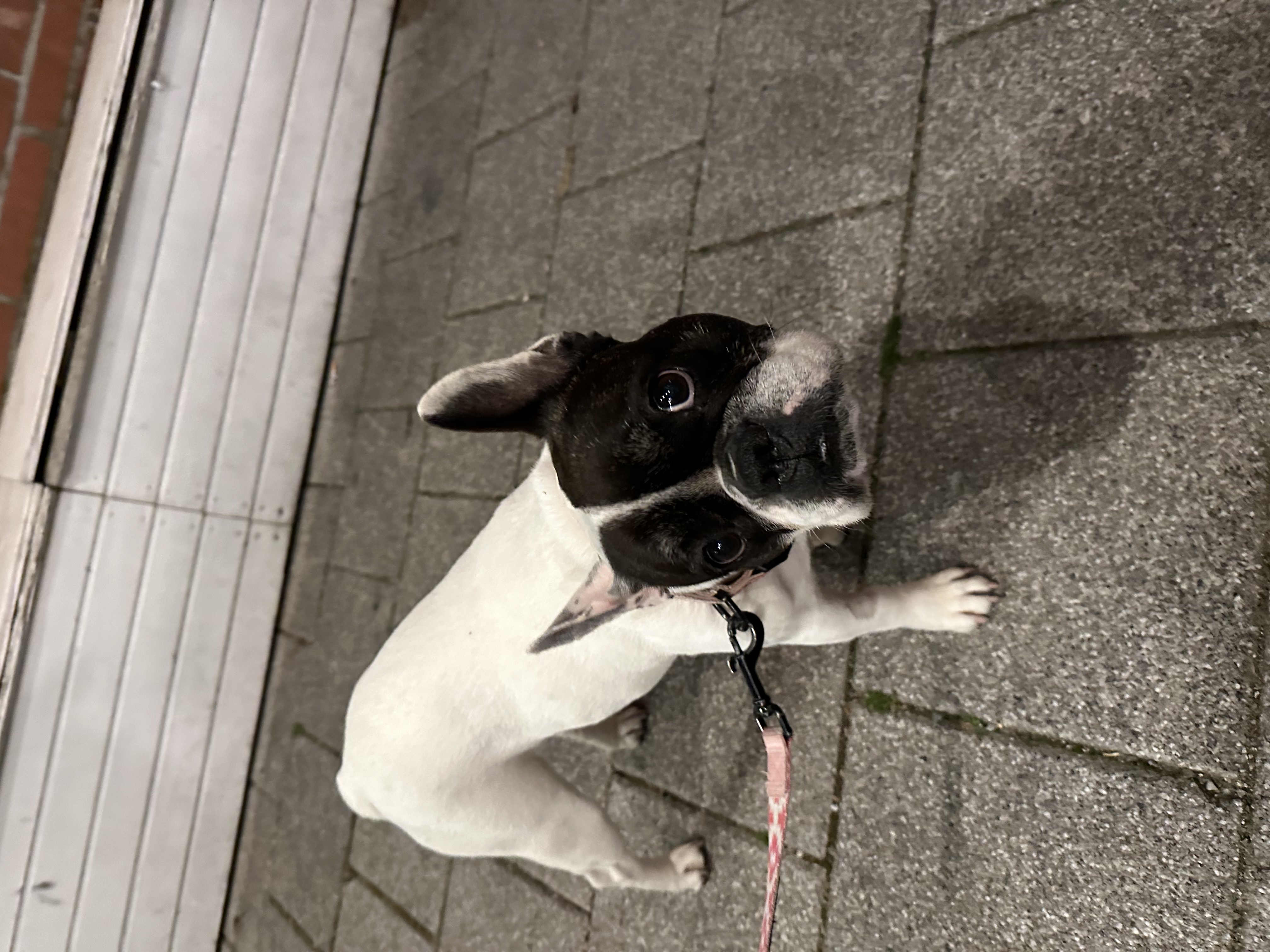image-6